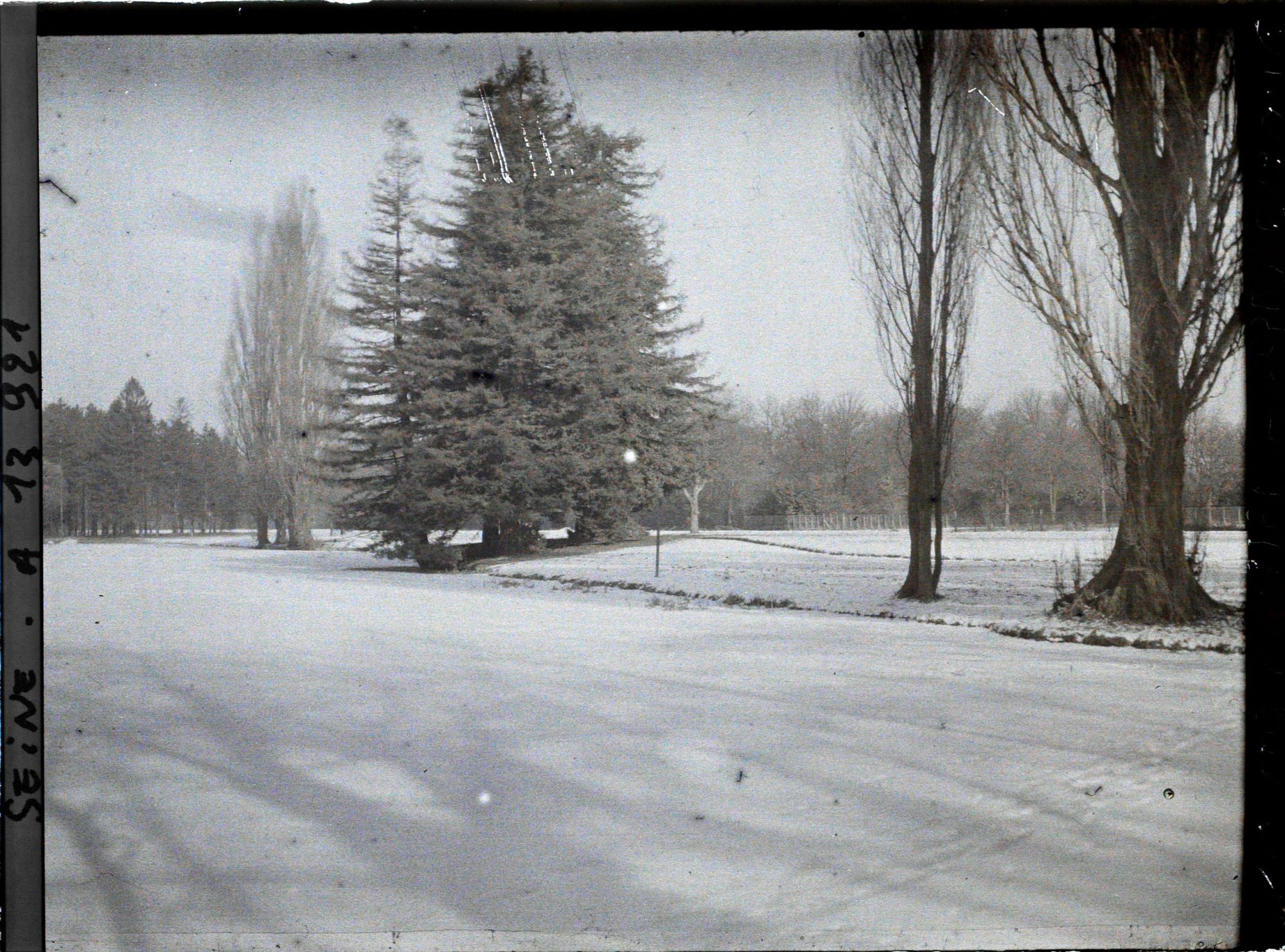 Image représentant Le bois de Boulogne enneigé