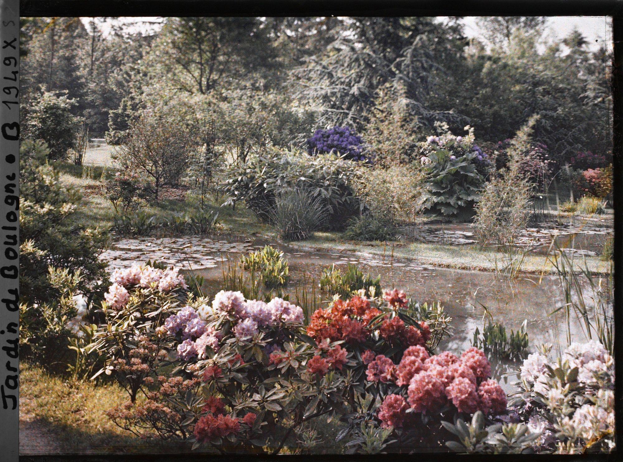 Image représentant Le marais