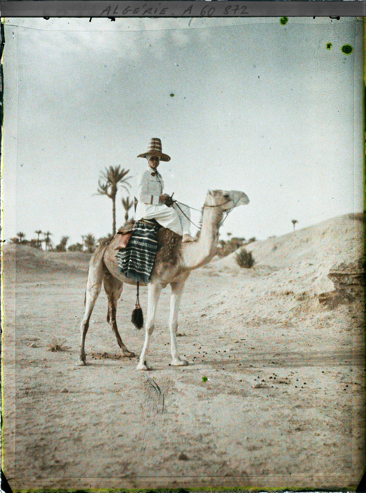 Image représentant Un officier méhariste sur sa monture