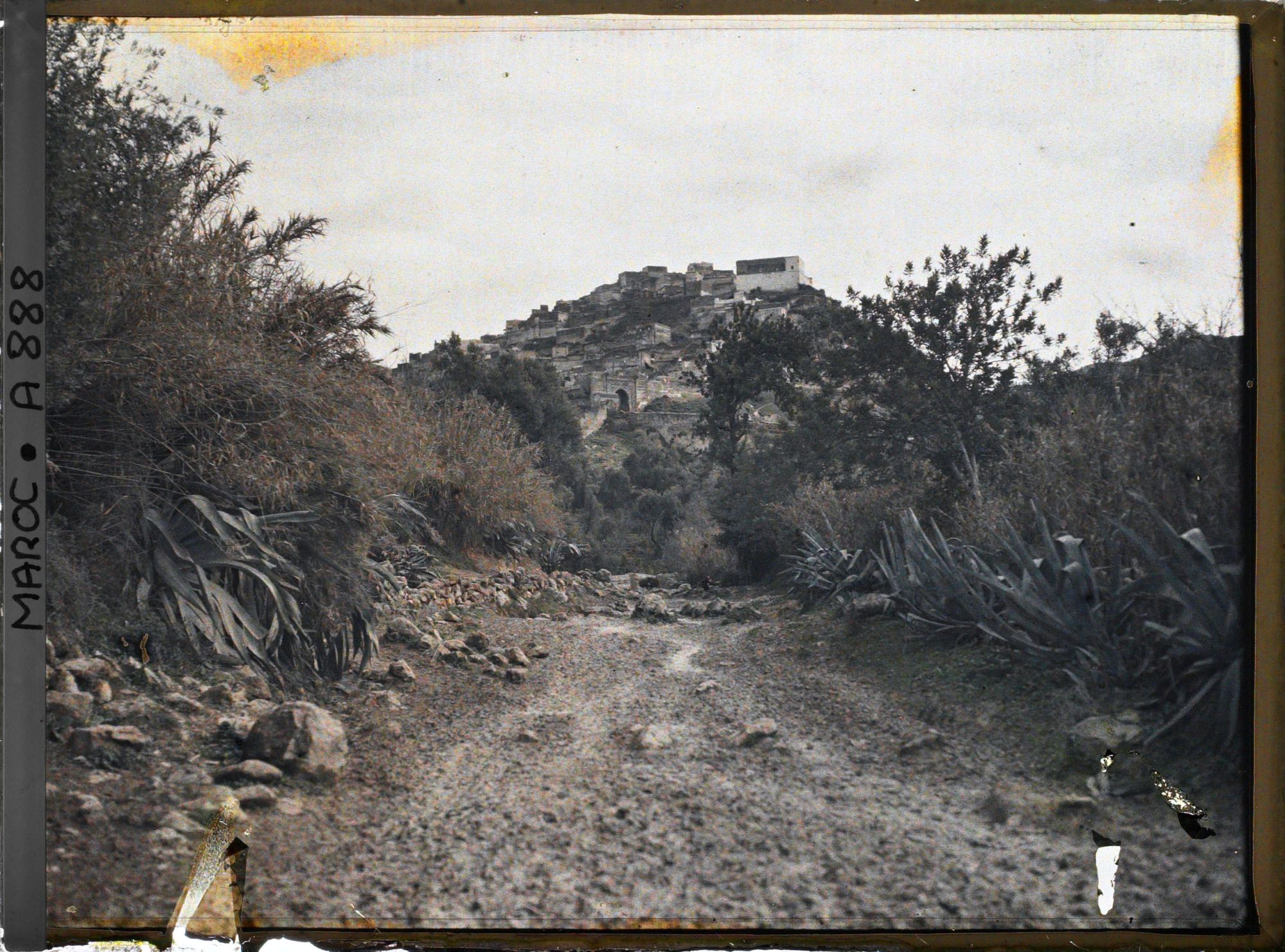 Image représentant Sur la route menant à Moulay Idriss