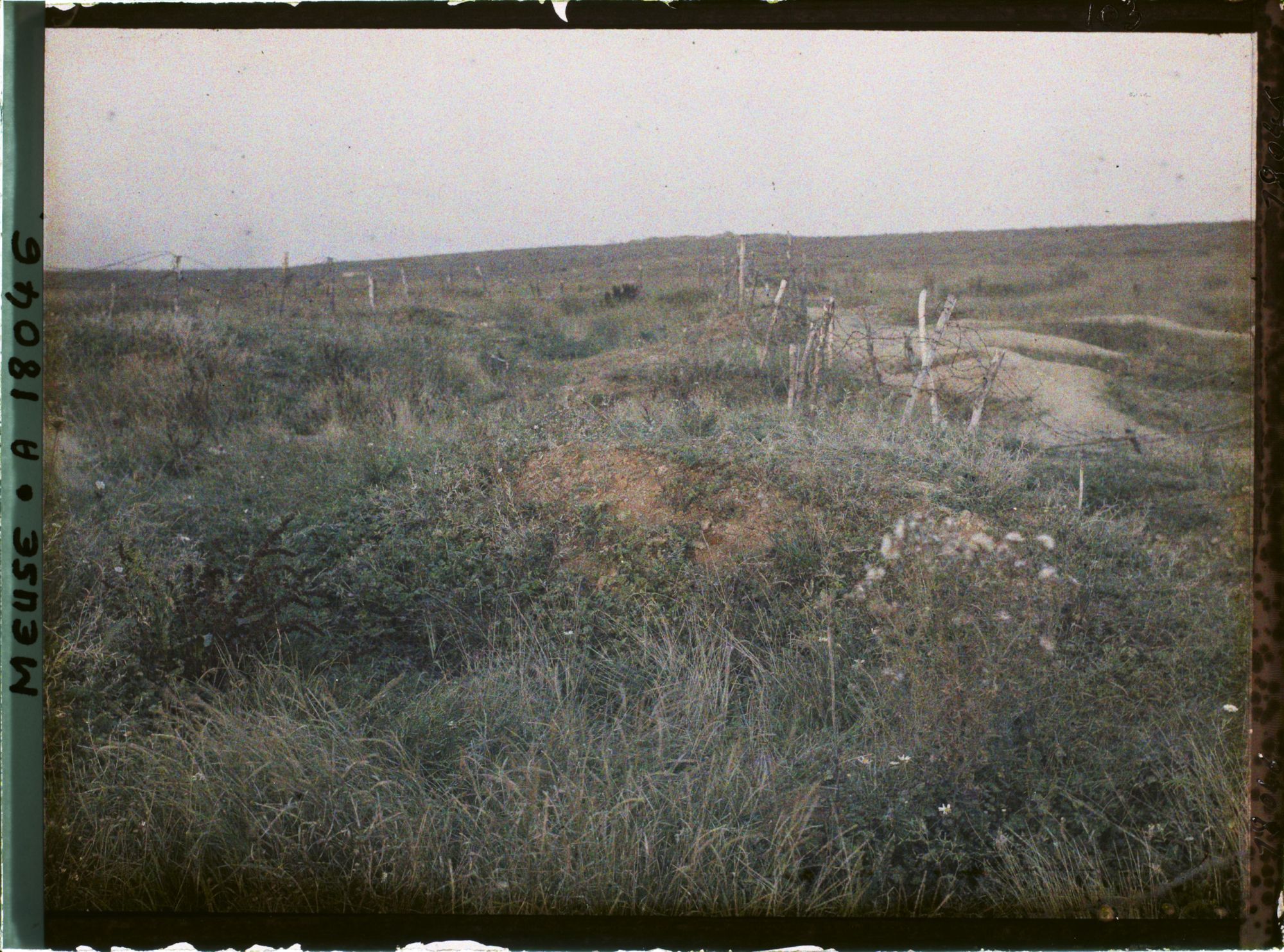 Image représentant France, Thiaumont, Tranchée de Thiaumont Vue d'ensemble de la "tranchée des Baïonnettes"