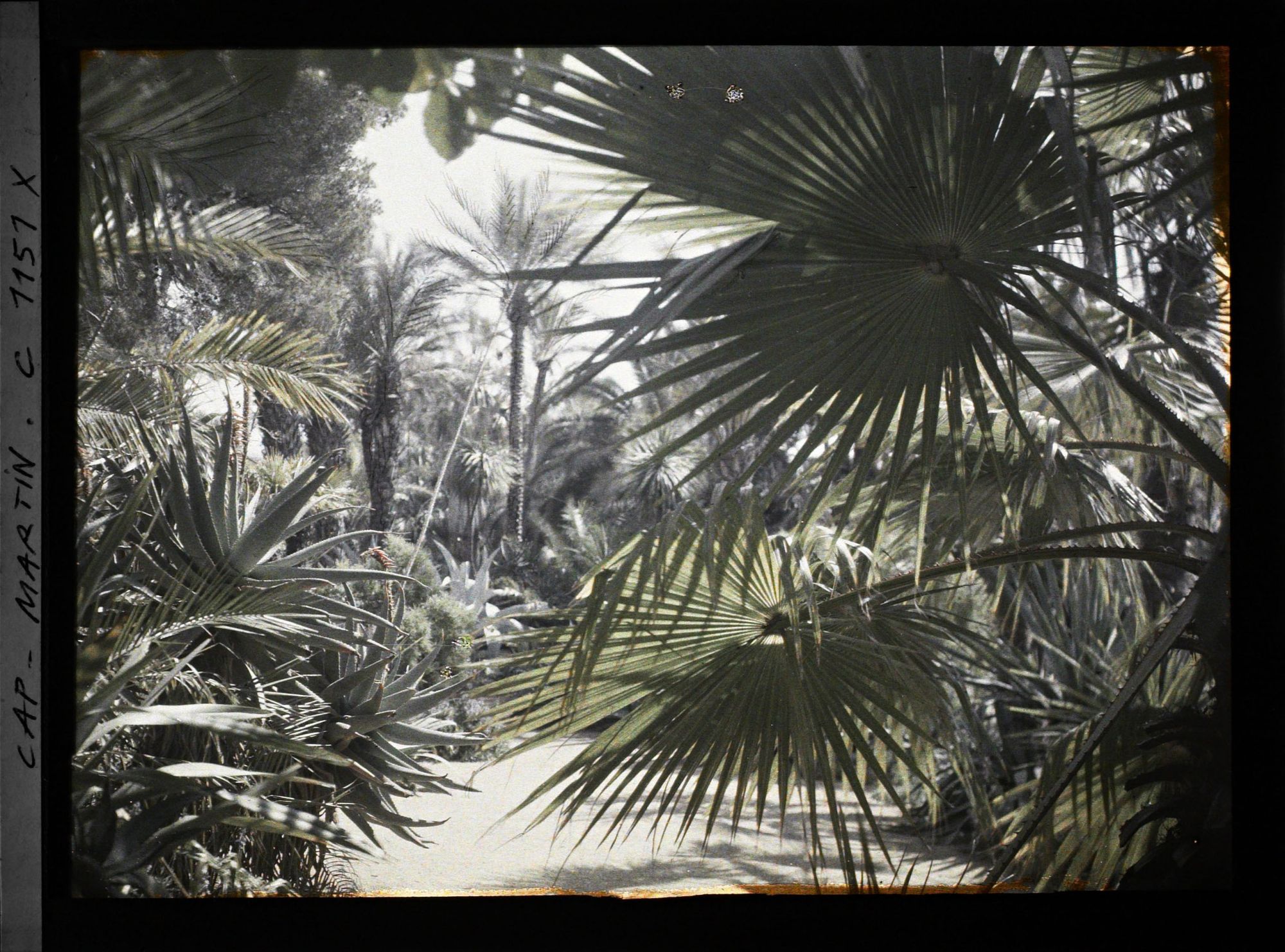 Image représentant le jardin