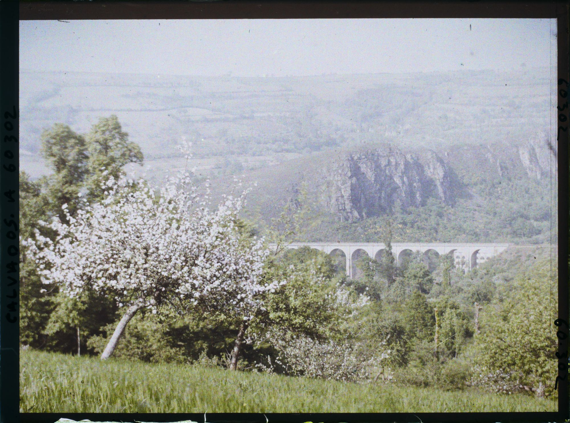 Image représentant Le viaduc