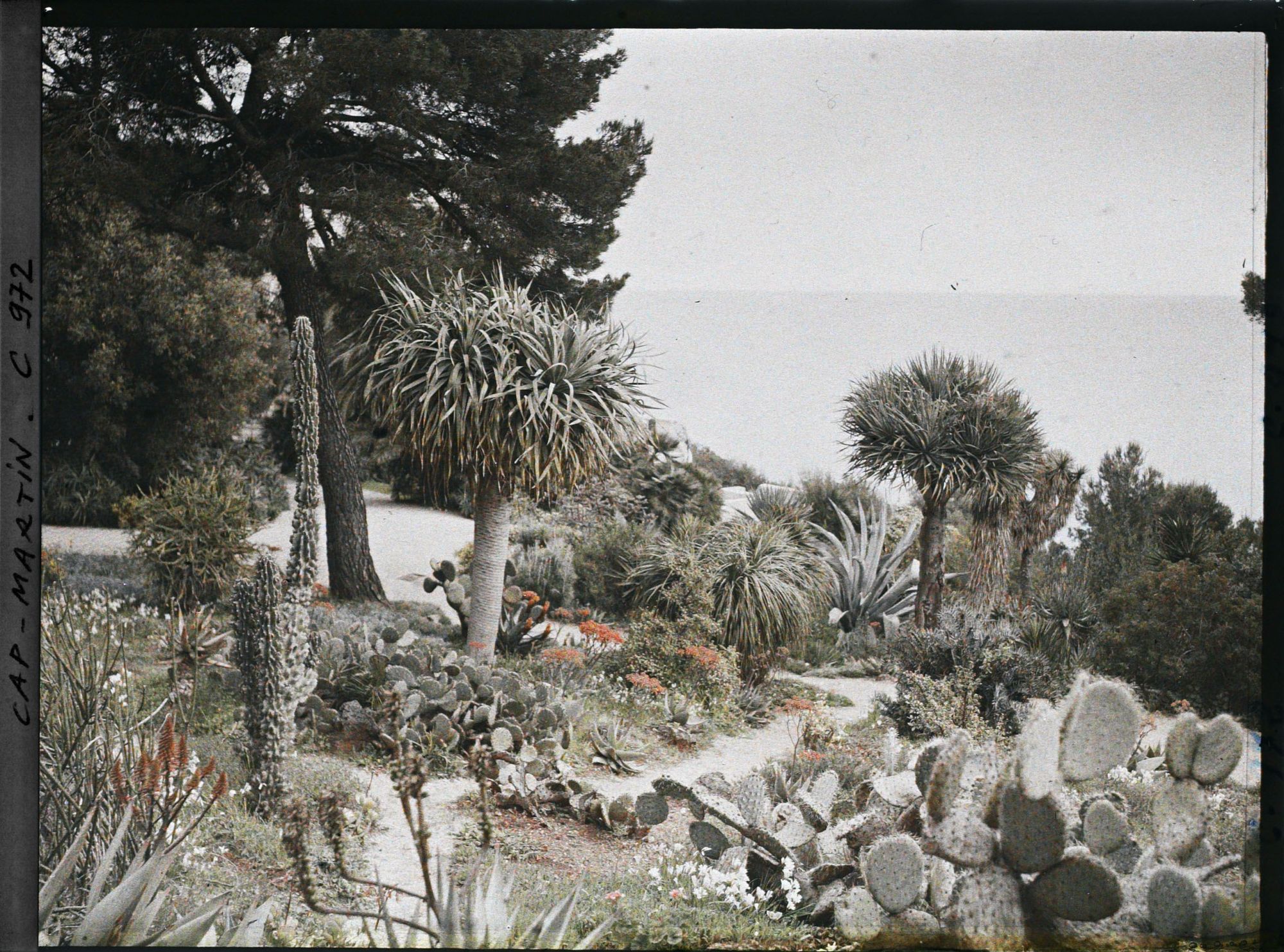 Image représentant Le Jardin vue vers la Mer
