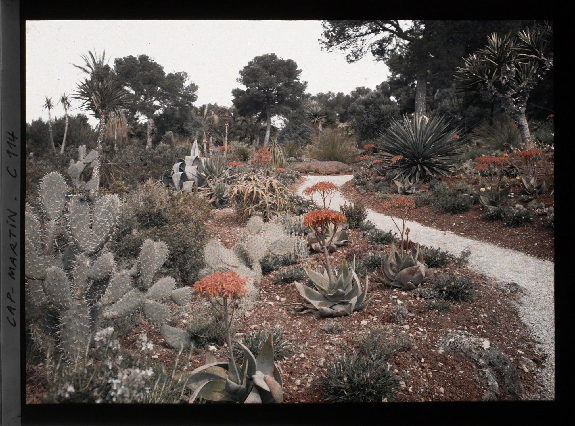 Image représentant Le jardin