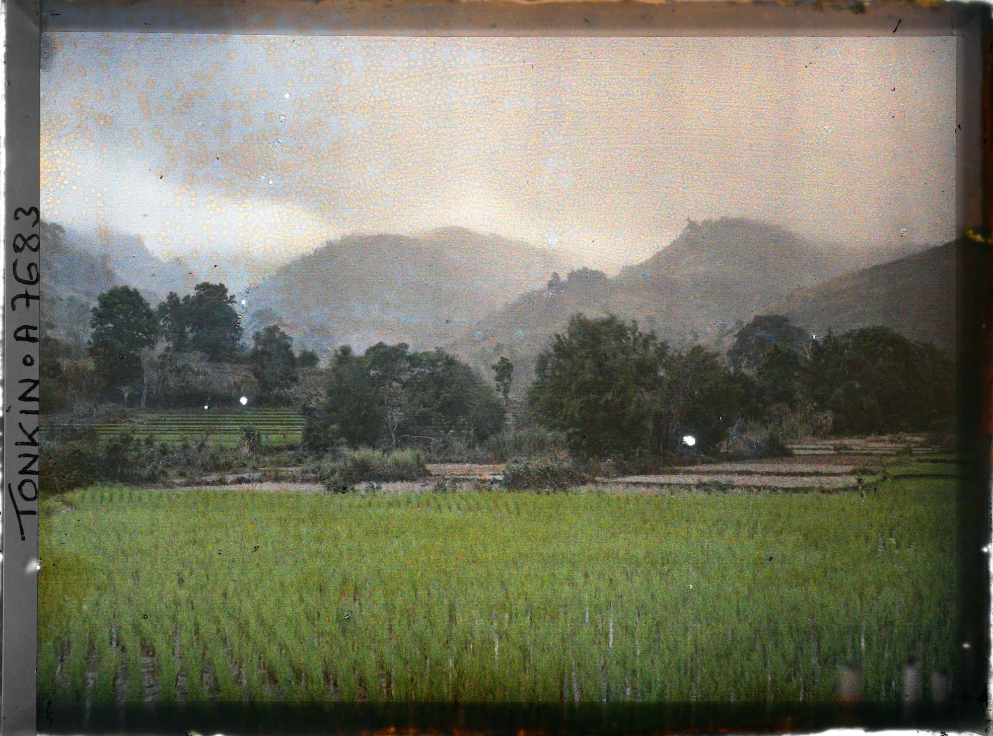 Image représentant Des rizière hautes et basses