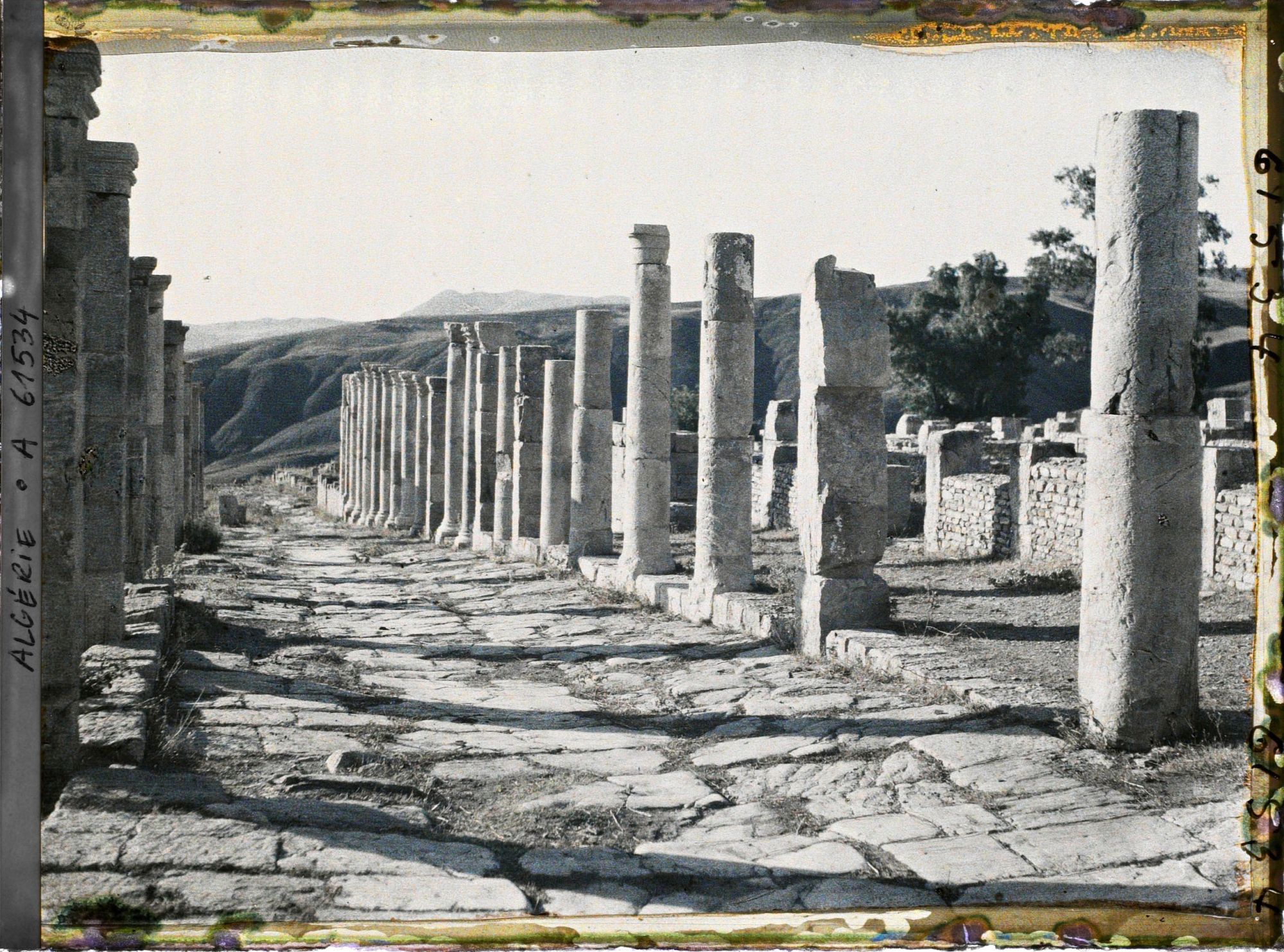 Image représentant Partie sud du Cardo Maximus, vestiges de la cité antique Cuicul