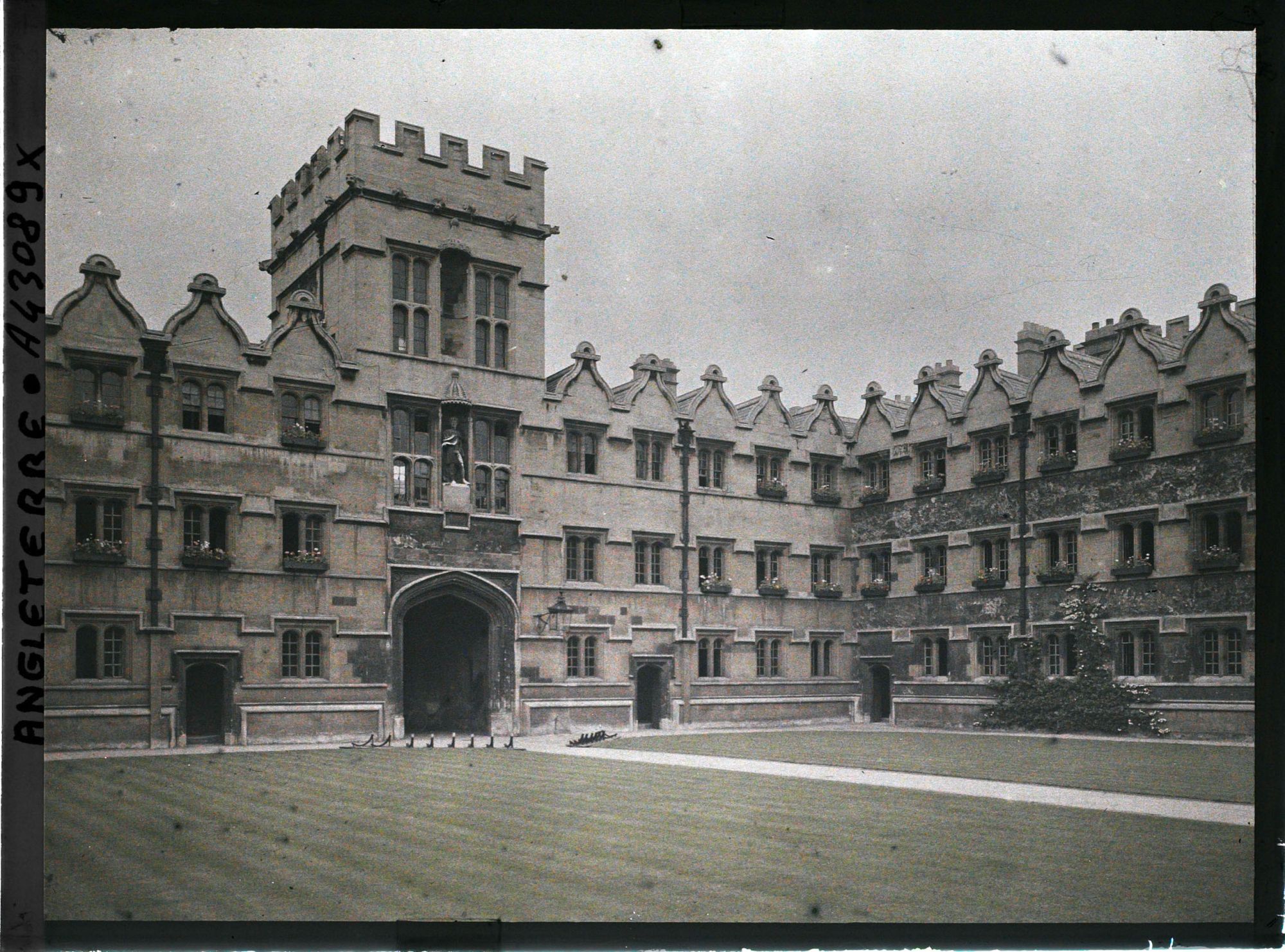 Image représentant University College