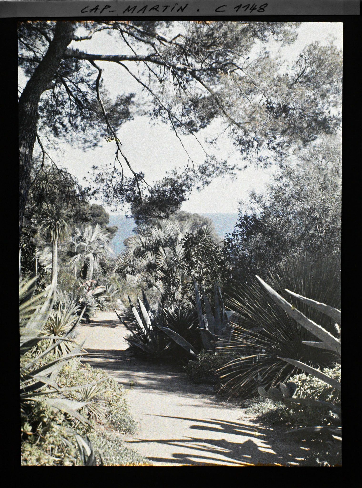 Image représentant le jardin