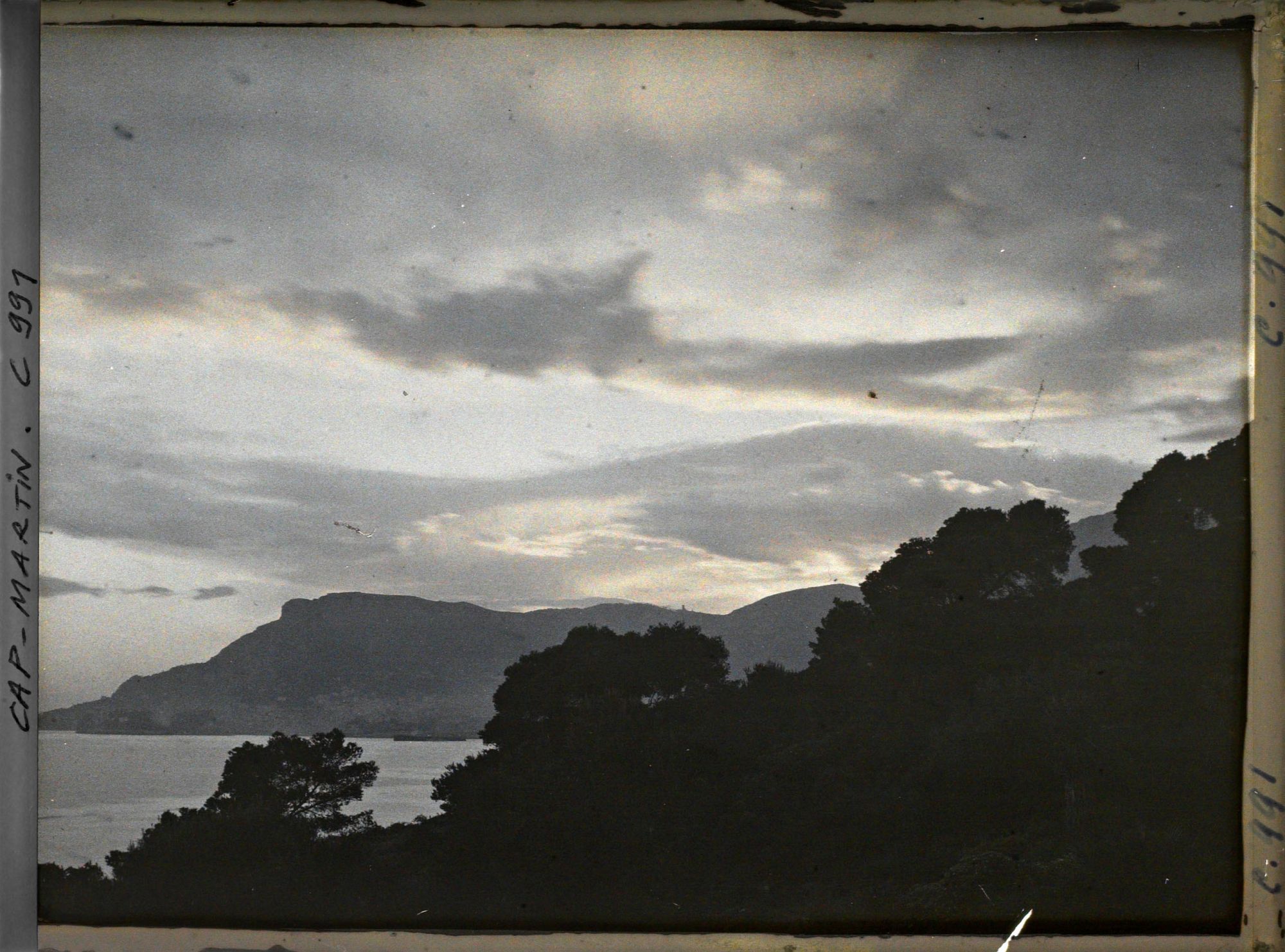 Image représentant Ligne d'arbres vue à contre-jour, en direction de Monaco, non loin de la villa Kahn dite villa Zamir