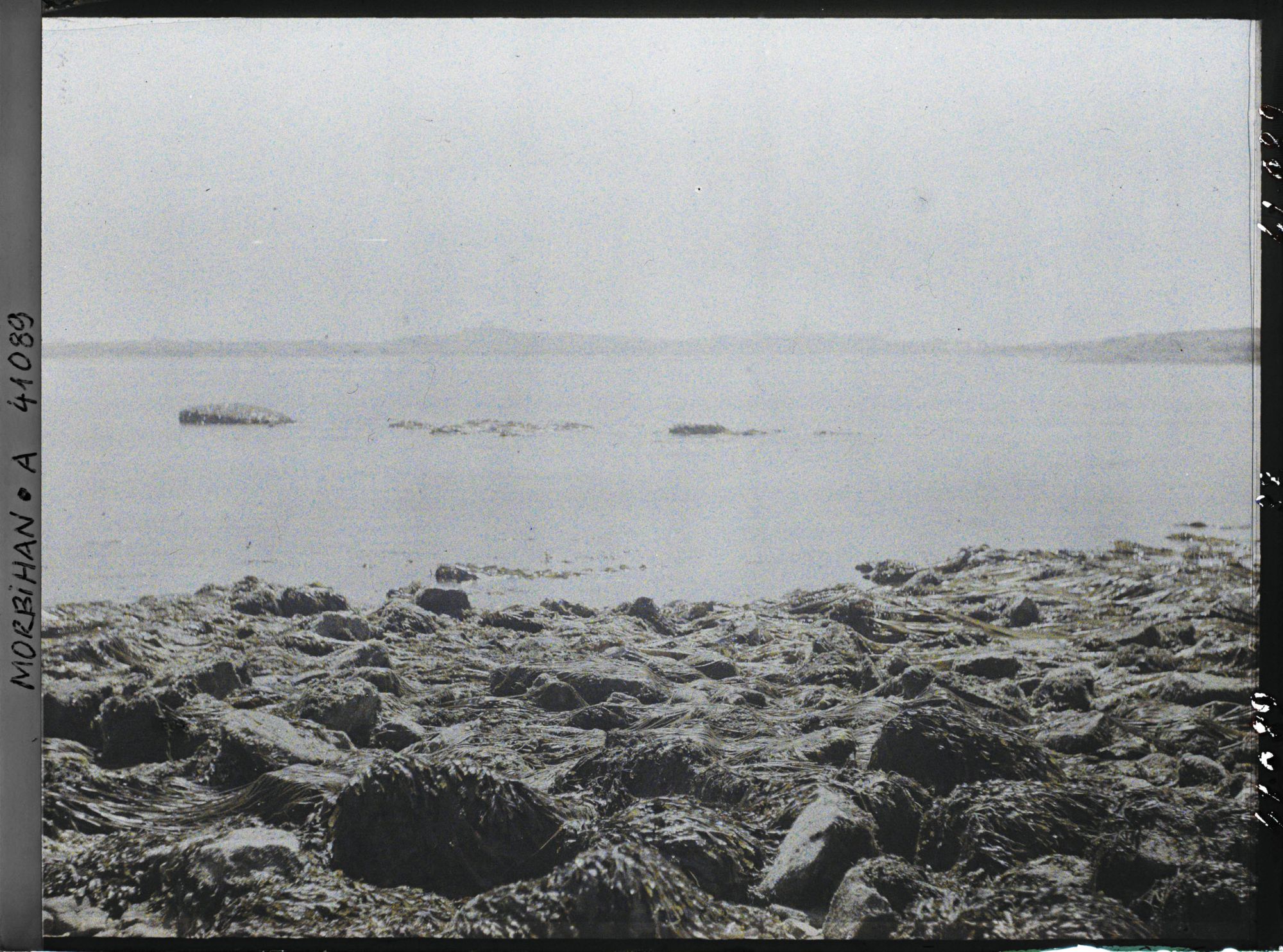 Image représentant Le deuxième cromlech immergé d'Er Lannic