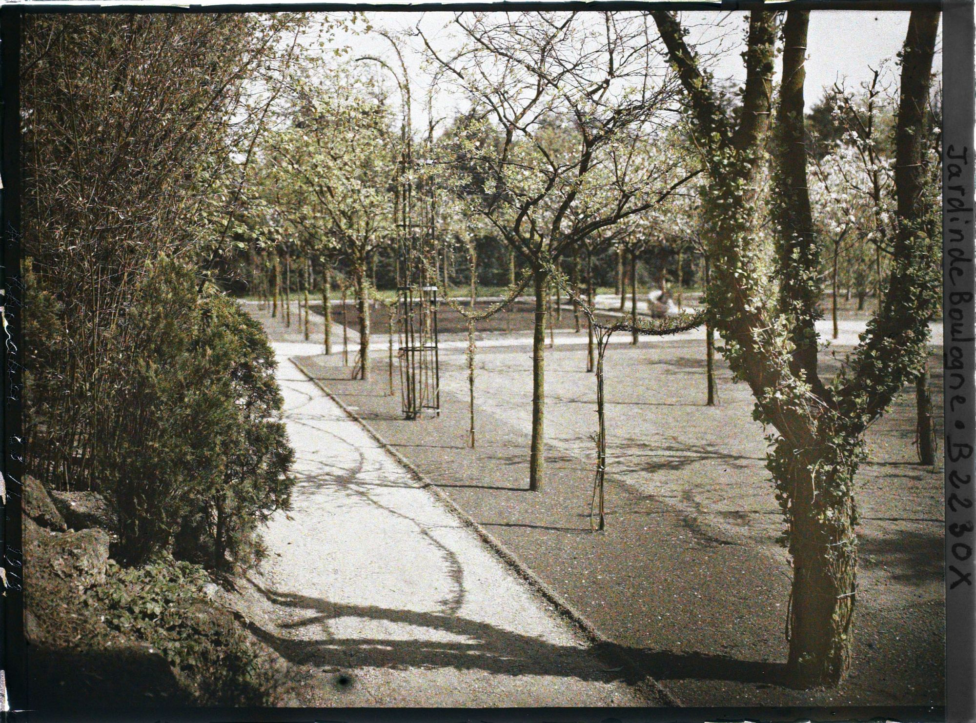 Image représentant Partie ouest du verger-roseraie en cours de travaux, vue en direction de la forêt bleue