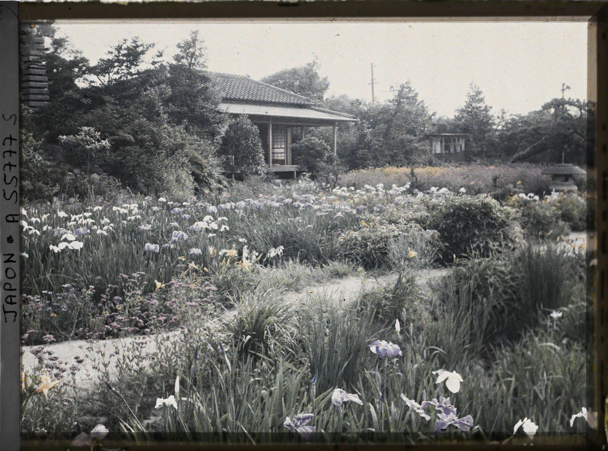 Image représentant Jardin d'iris de Horikiri