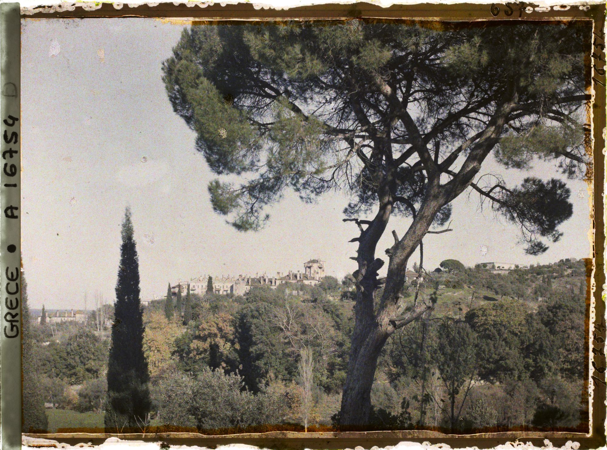 Image représentant Mont Athos, Vatopédi, Le Monastère vu à travers les pins