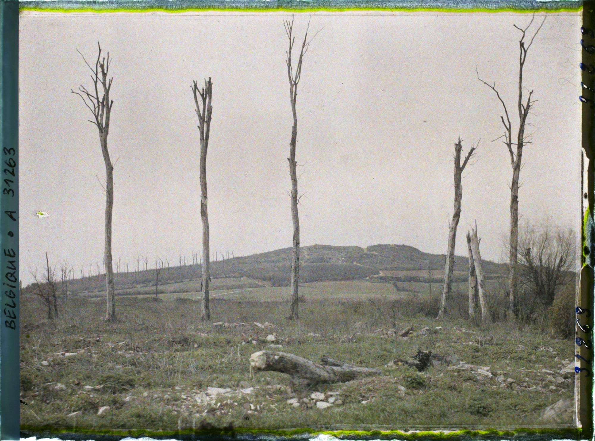 Image représentant Belgique, Kemmel, Versant Sud-Est du Mont Kemel