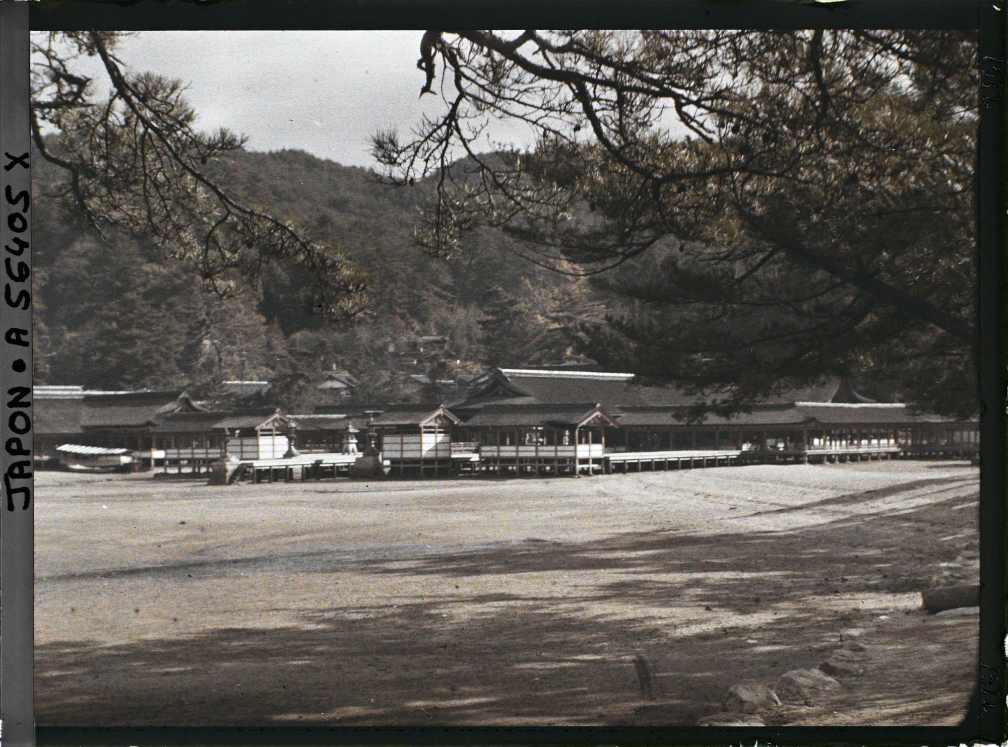 Image représentant Vue générale de l'Itsukushima-jinja