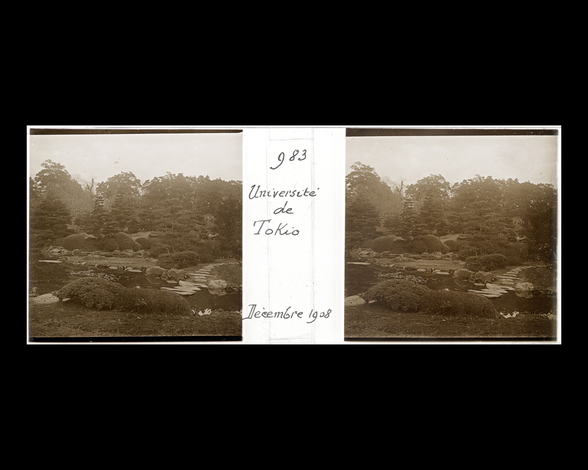 Image représentant Le jardin botanique de l'Université impériale de Tokyo