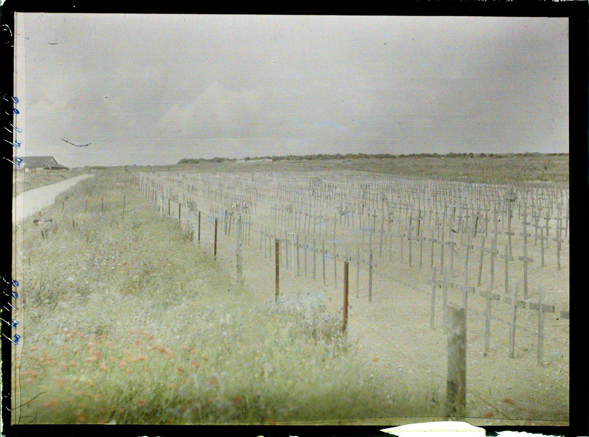 Image représentant France, Fricourt, Cimetière Allemand de Fricourt