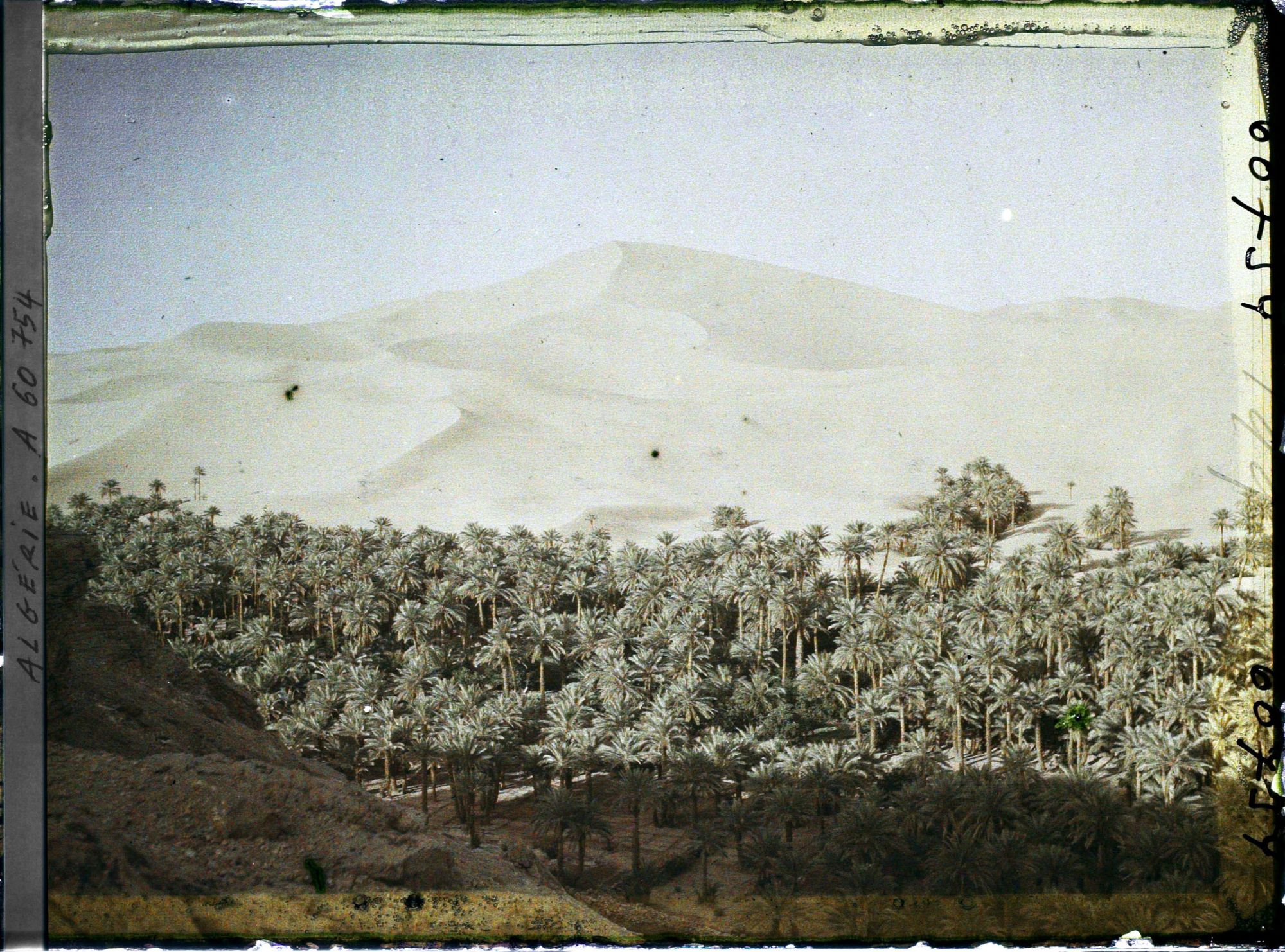 Image représentant La partie est de l'oasis, au bas de la dune