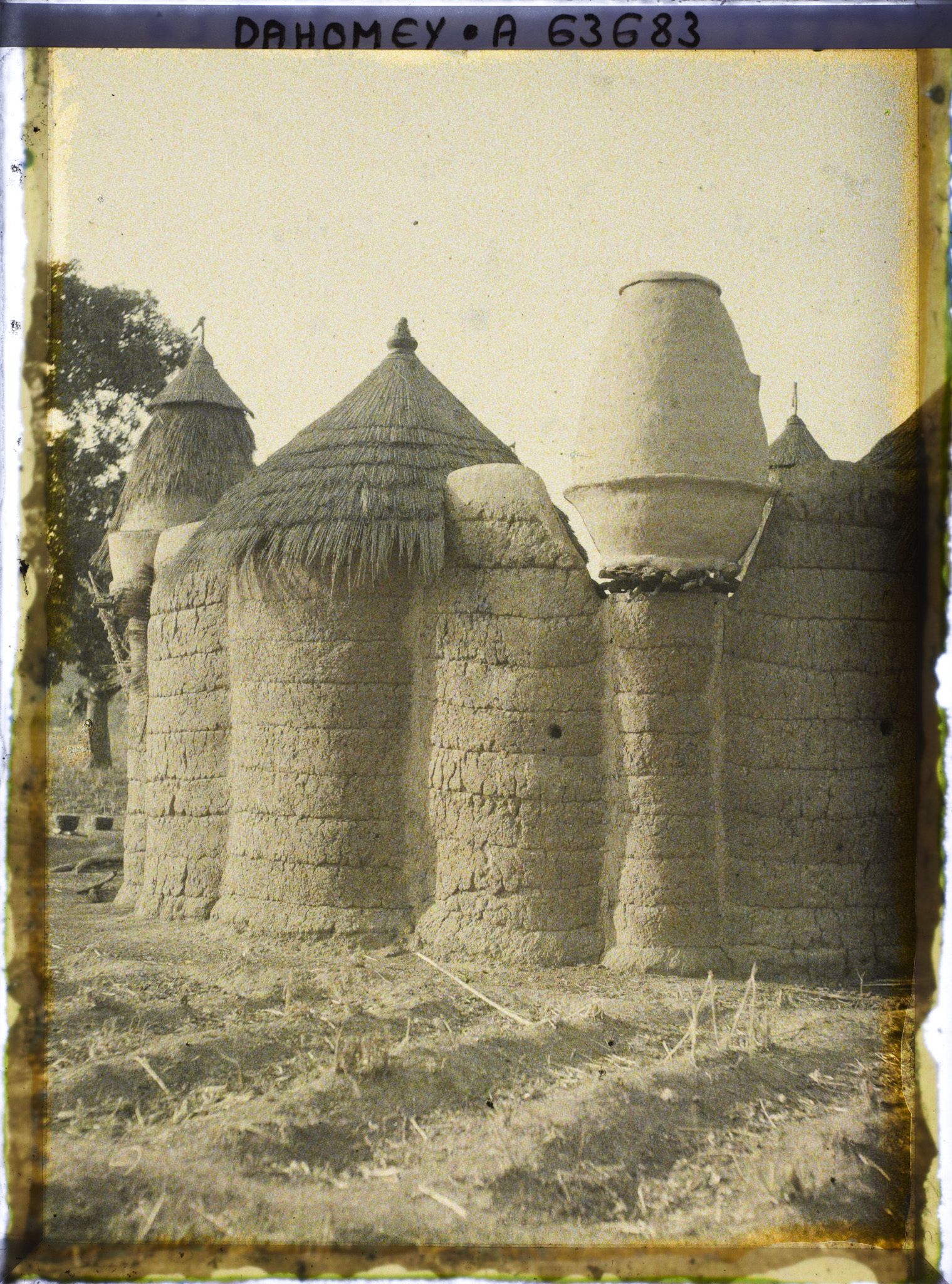 Image représentant Un tata (case) somba, détail sur le grenier