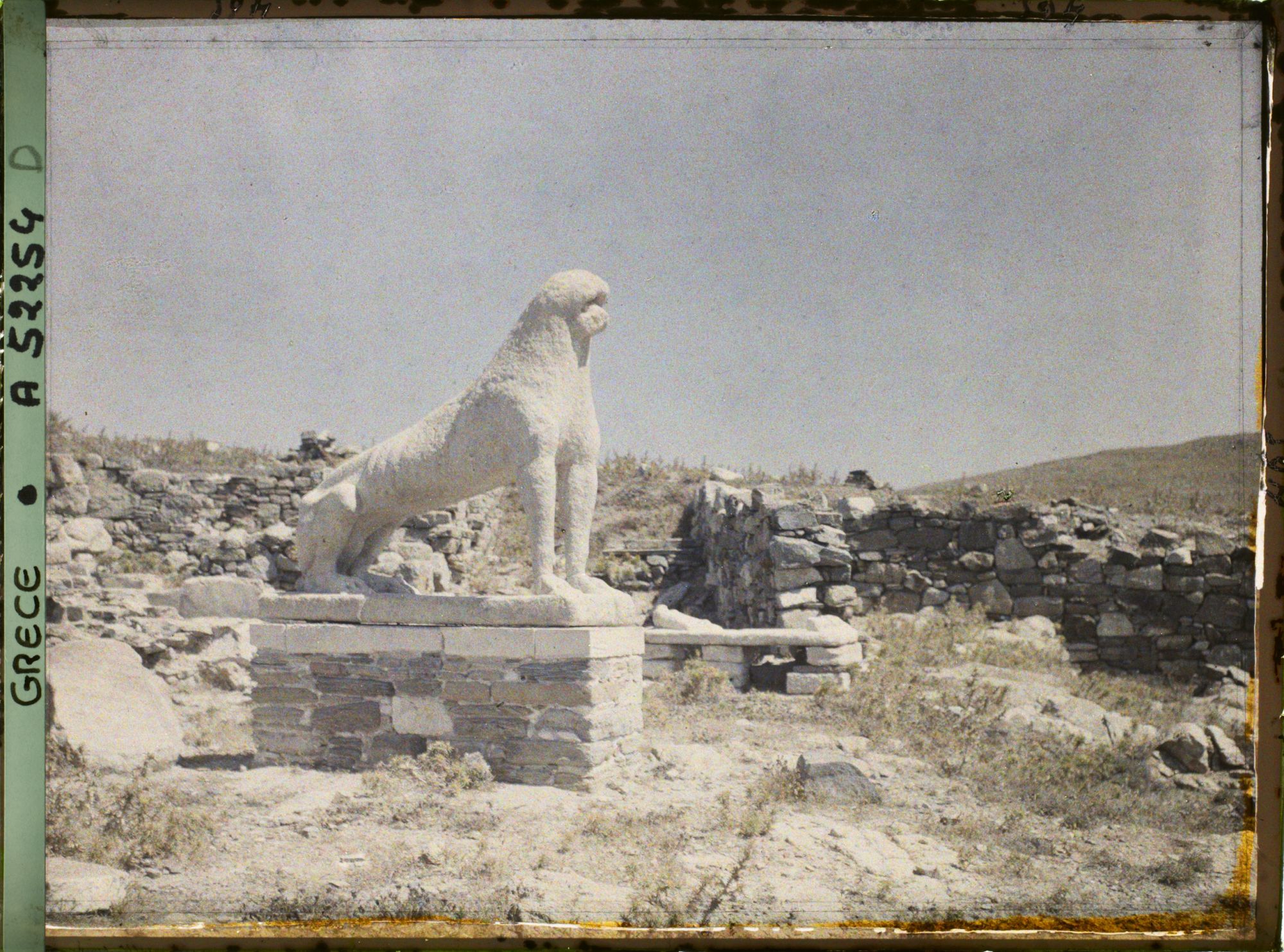 Image représentant Une lionne