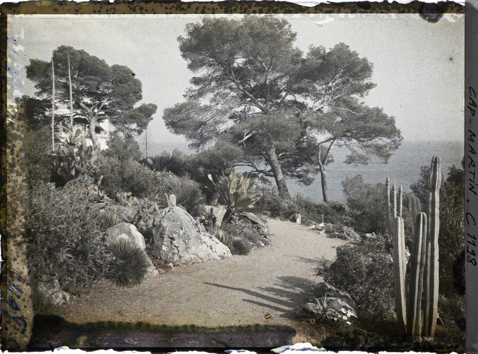 Image représentant le Jardin