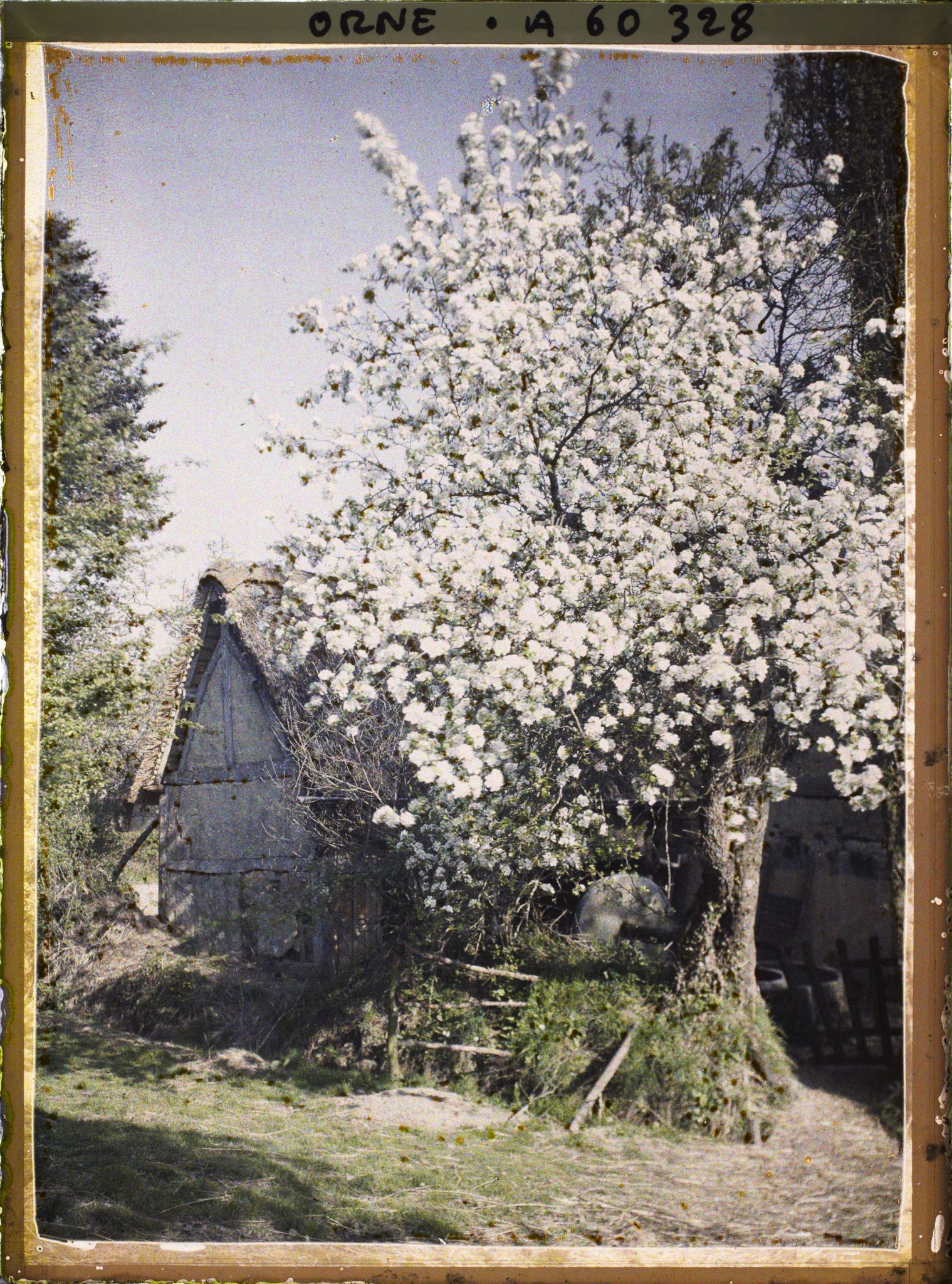 Image représentant Une ferme