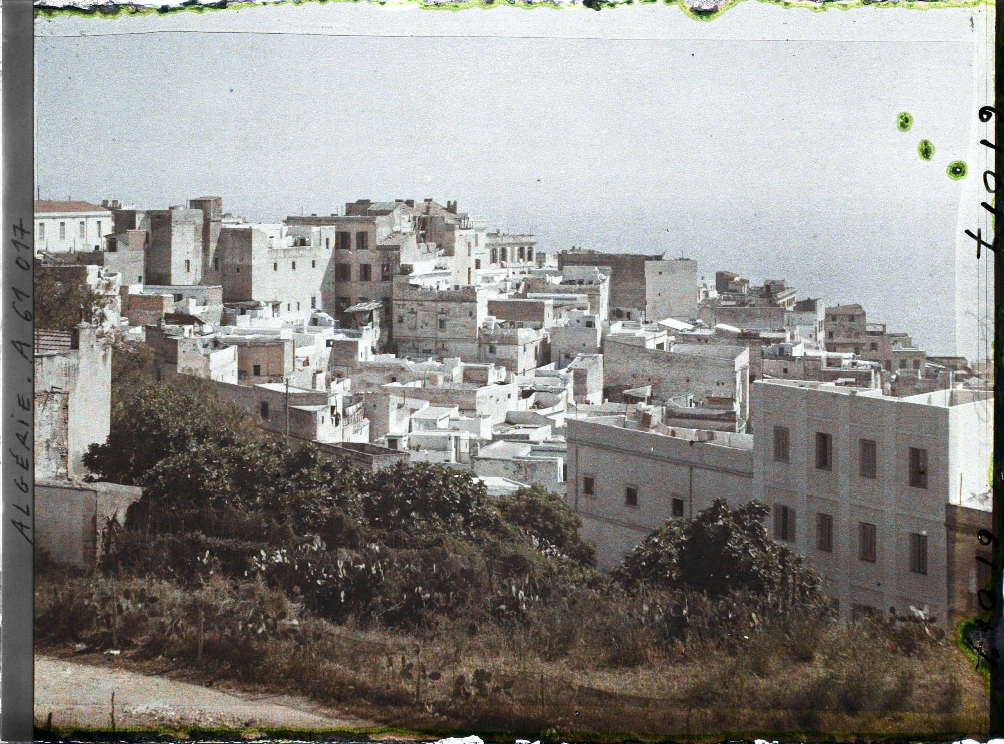 Image représentant La ville haute appelée aussi Casbah