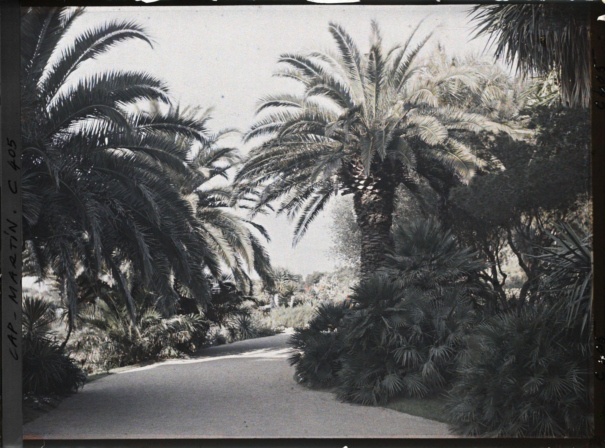 Image représentant Cap Martin Le Jardin
