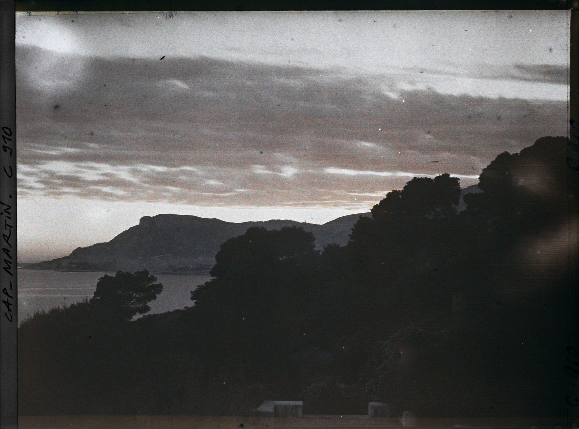 Image représentant Ligne arborée près de la villa Kahn, dite villa Zamir, se découpant à contre-jour vers Monaco