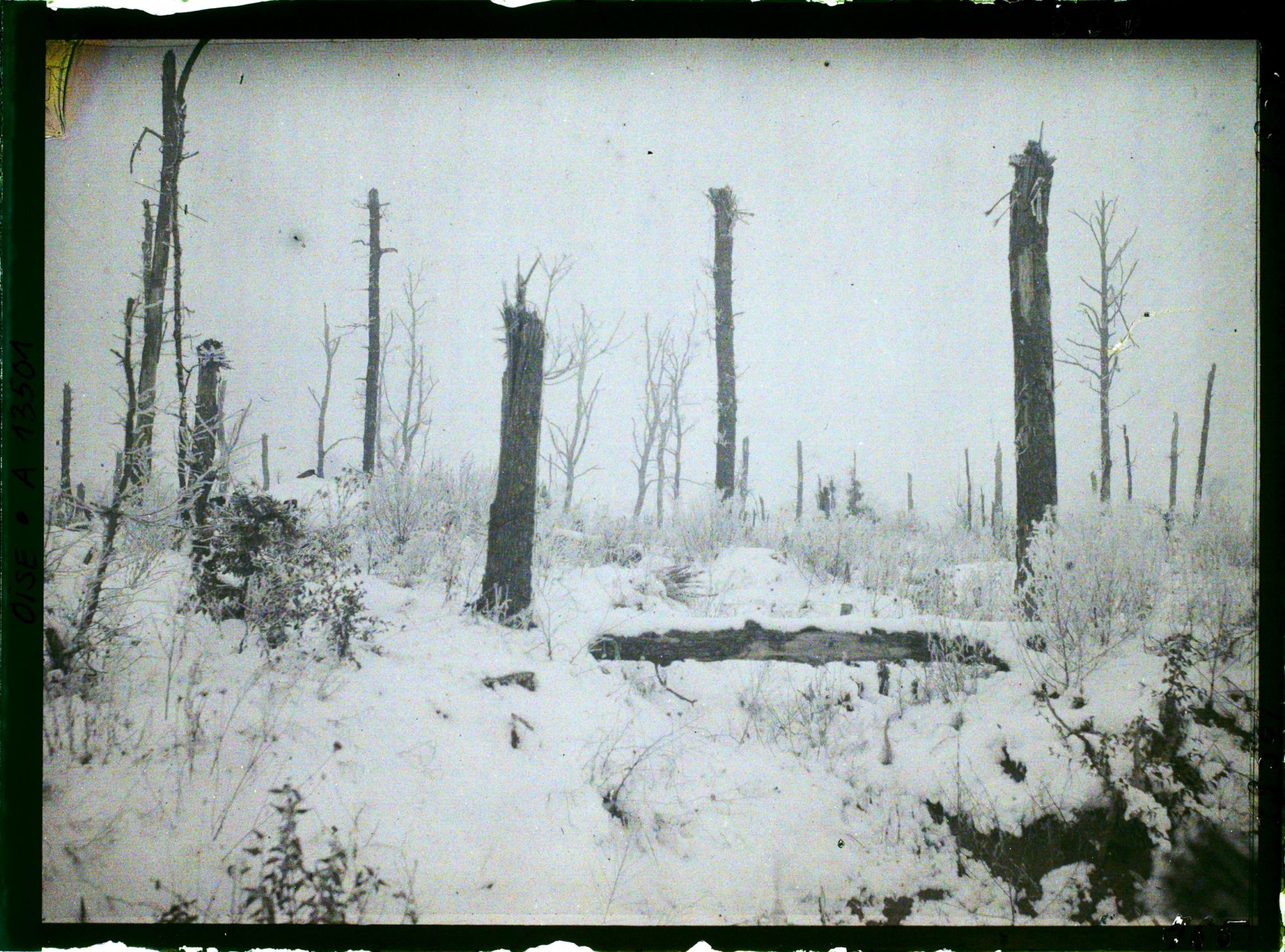 Image représentant France, Bois des Loges, 1ères Lignes Françaises en Mars 1917