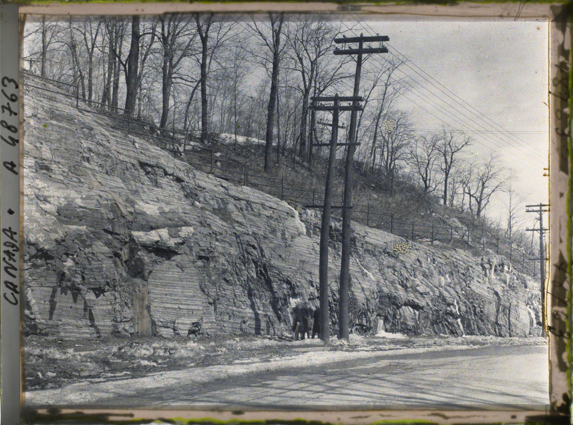Image représentant Canada, Montréal, Coupe Calcaire du Mt Royal