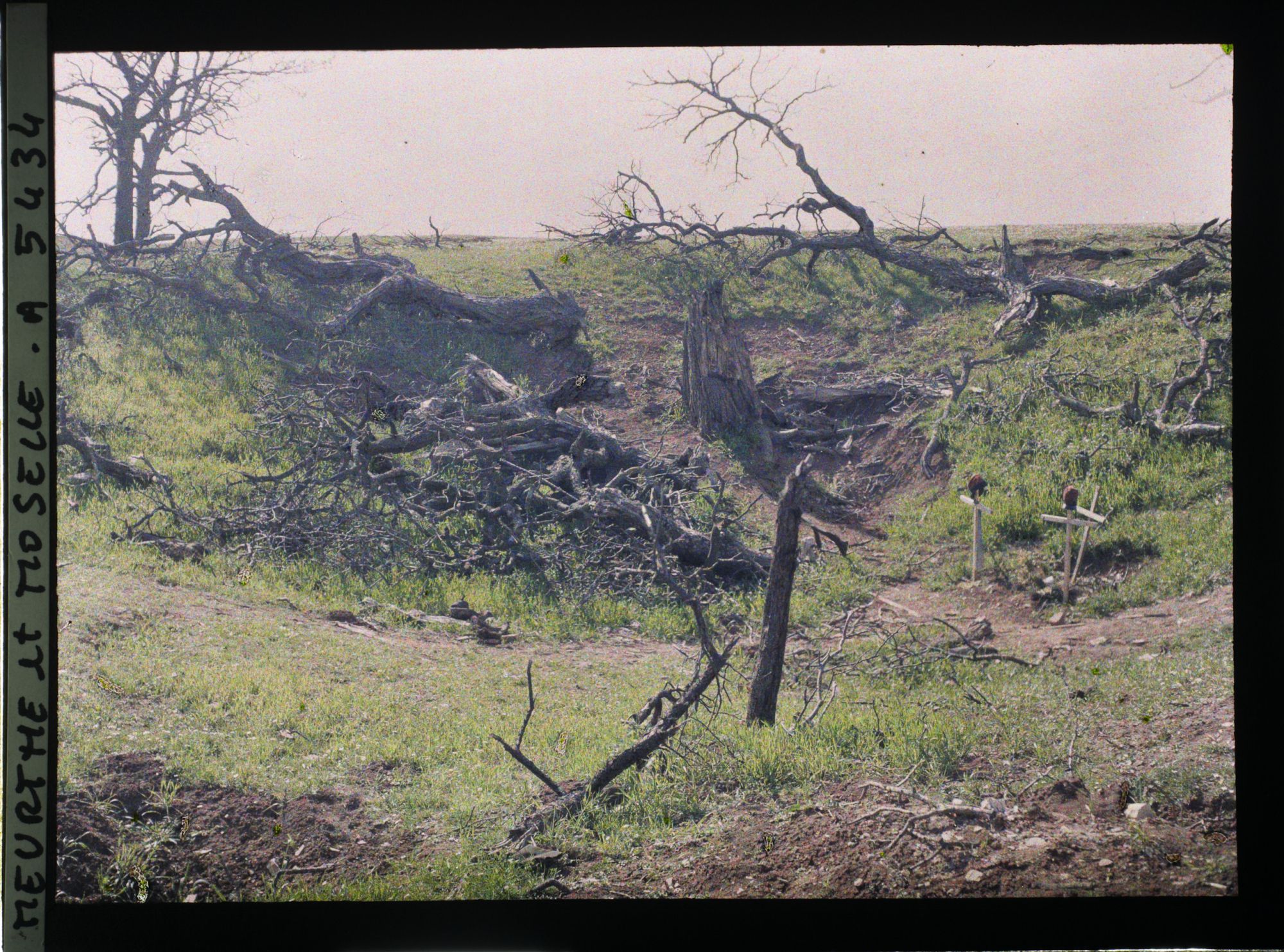 Image représentant France, Léomont, Arbres tombes et Képis