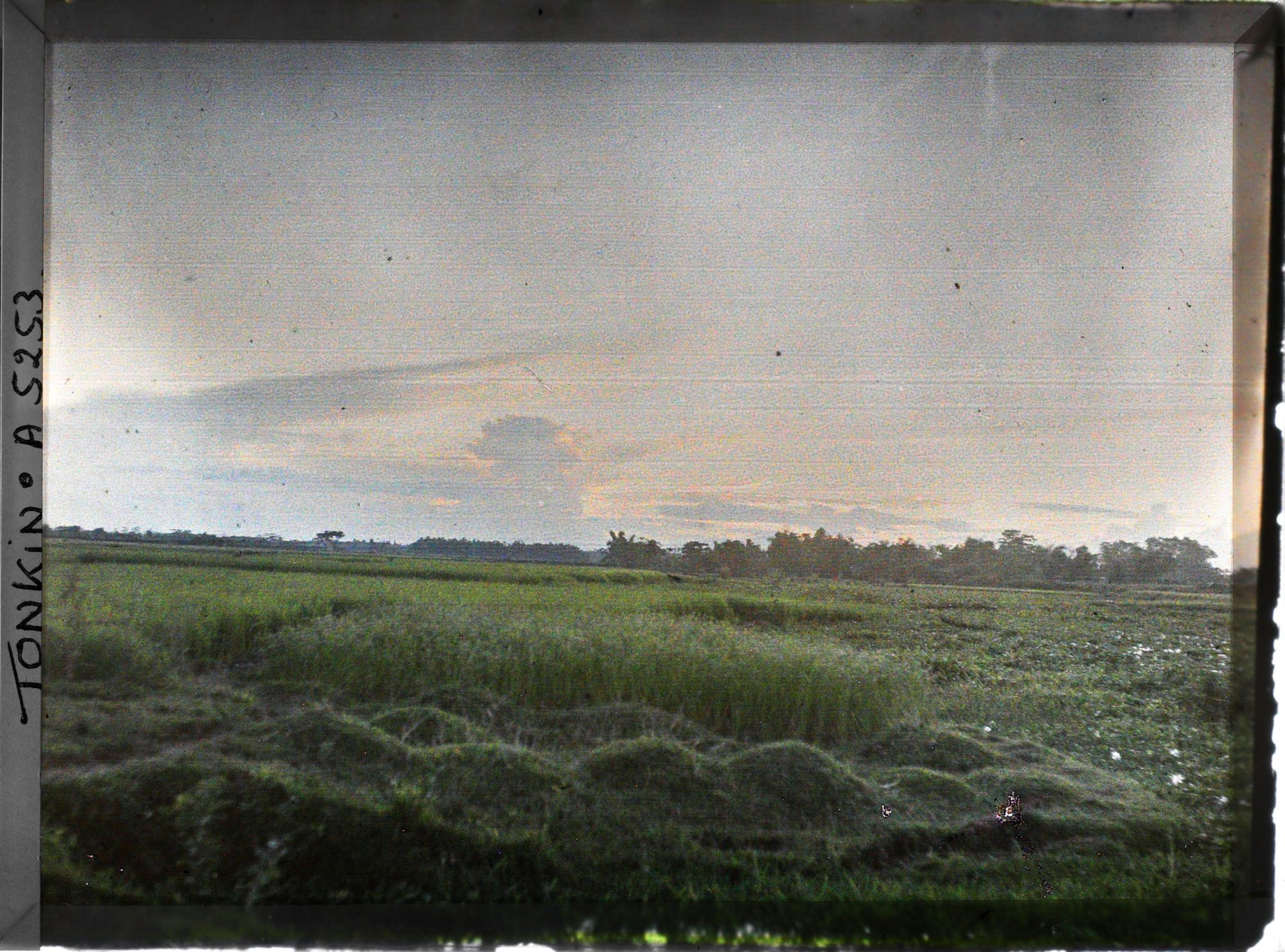 Image représentant Un coucher de soleil sur les rizières