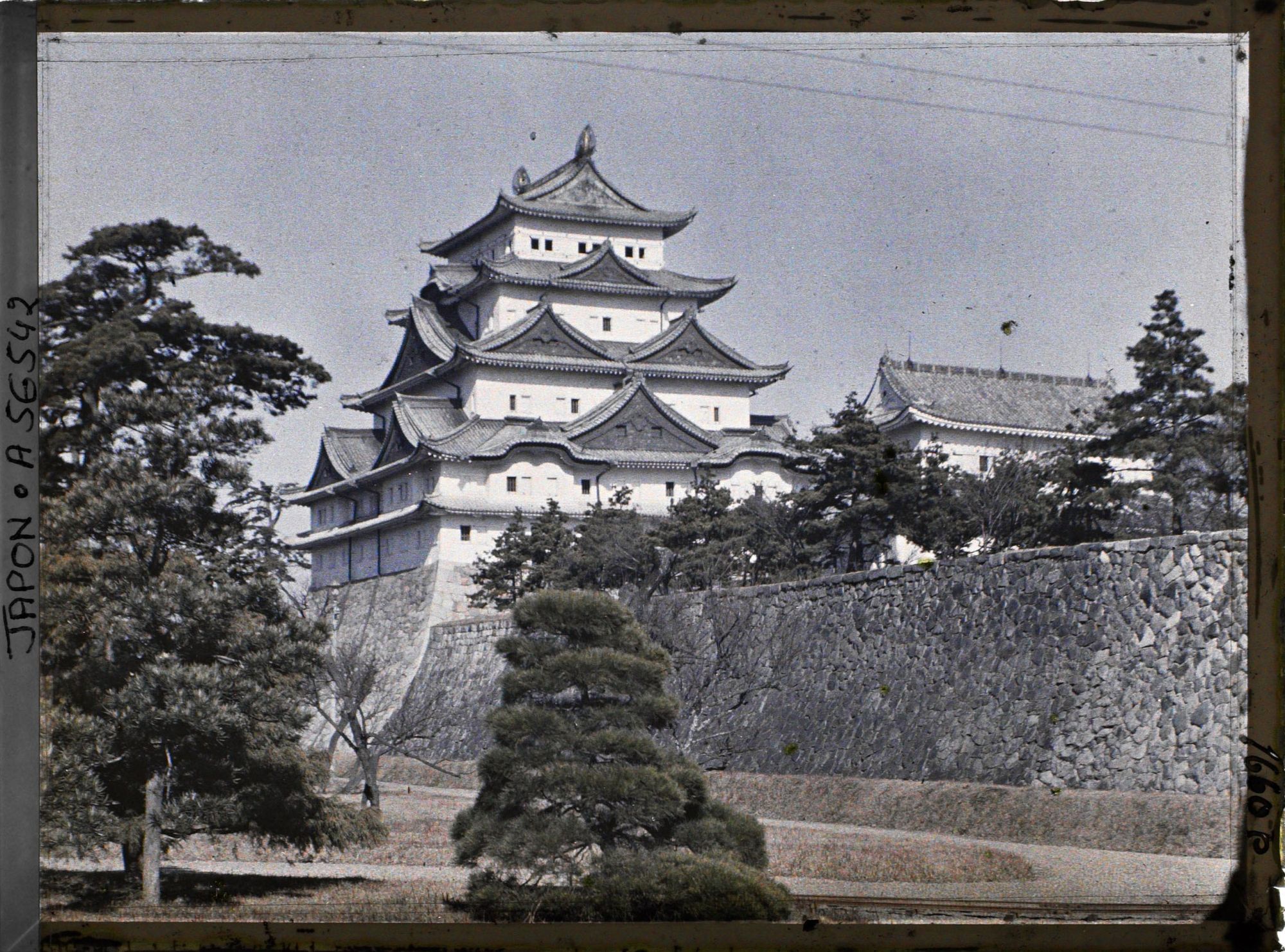 Image représentant Le donjon (tenshu) du château de Nagoya (Nagoya-jôshi) depuis le Nishi-no-maru