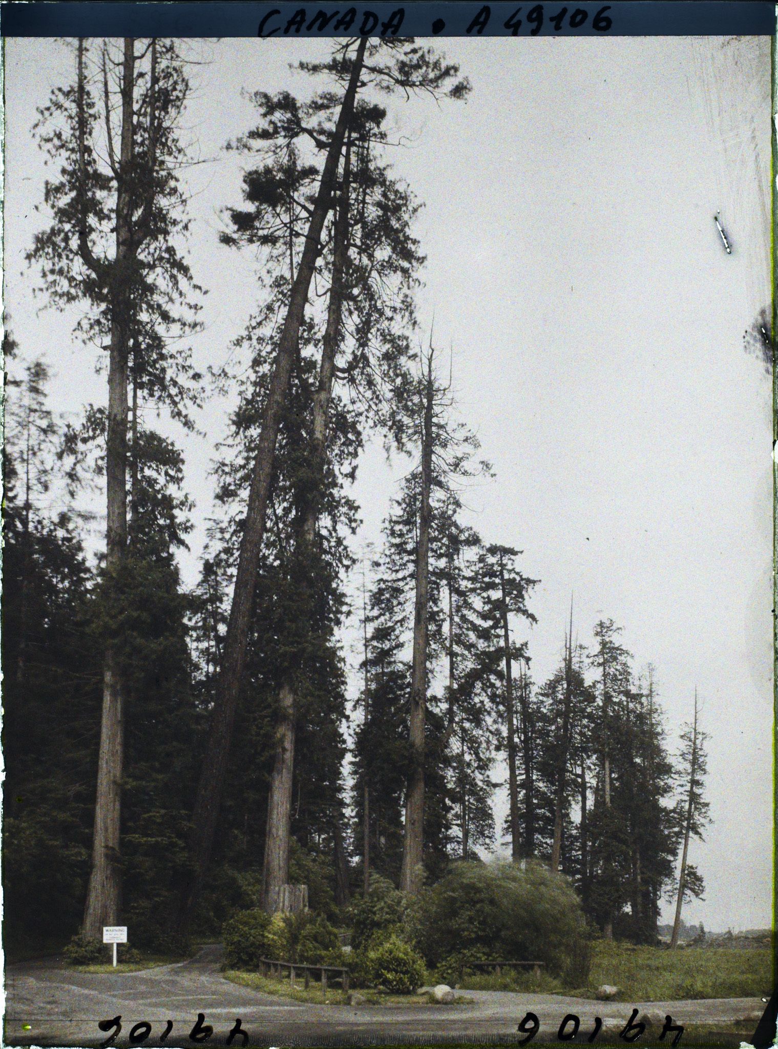 Image représentant Canada, Vancouver, Une vue du Parc