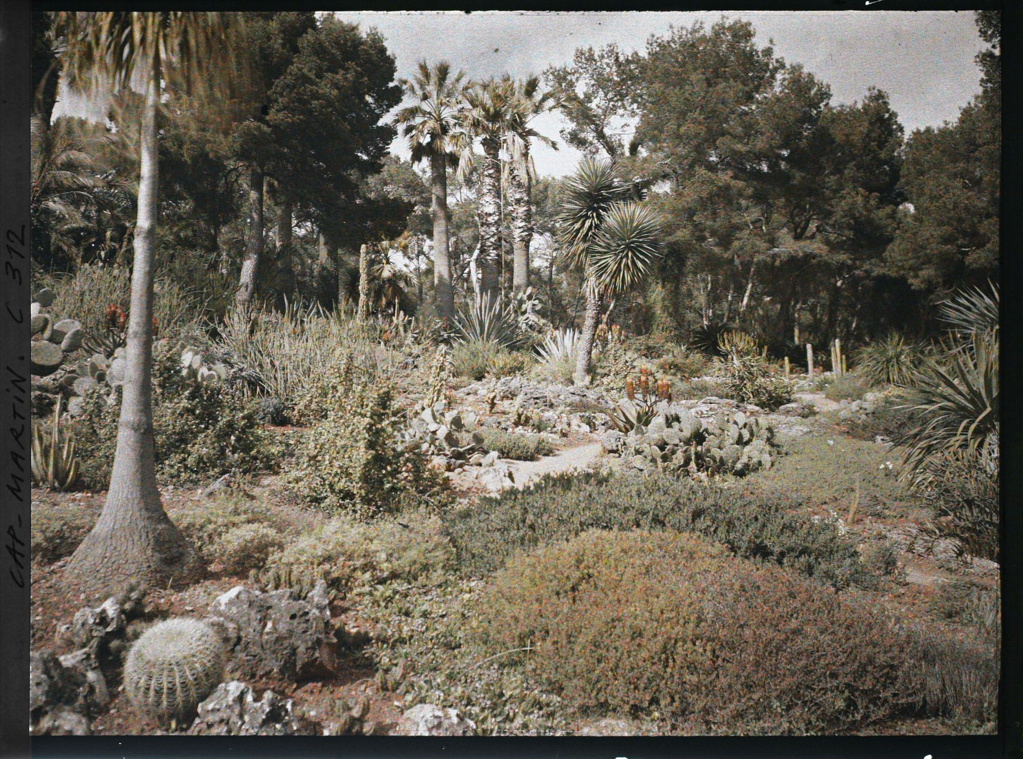 Image représentant Cap-Martin - Le Jardin