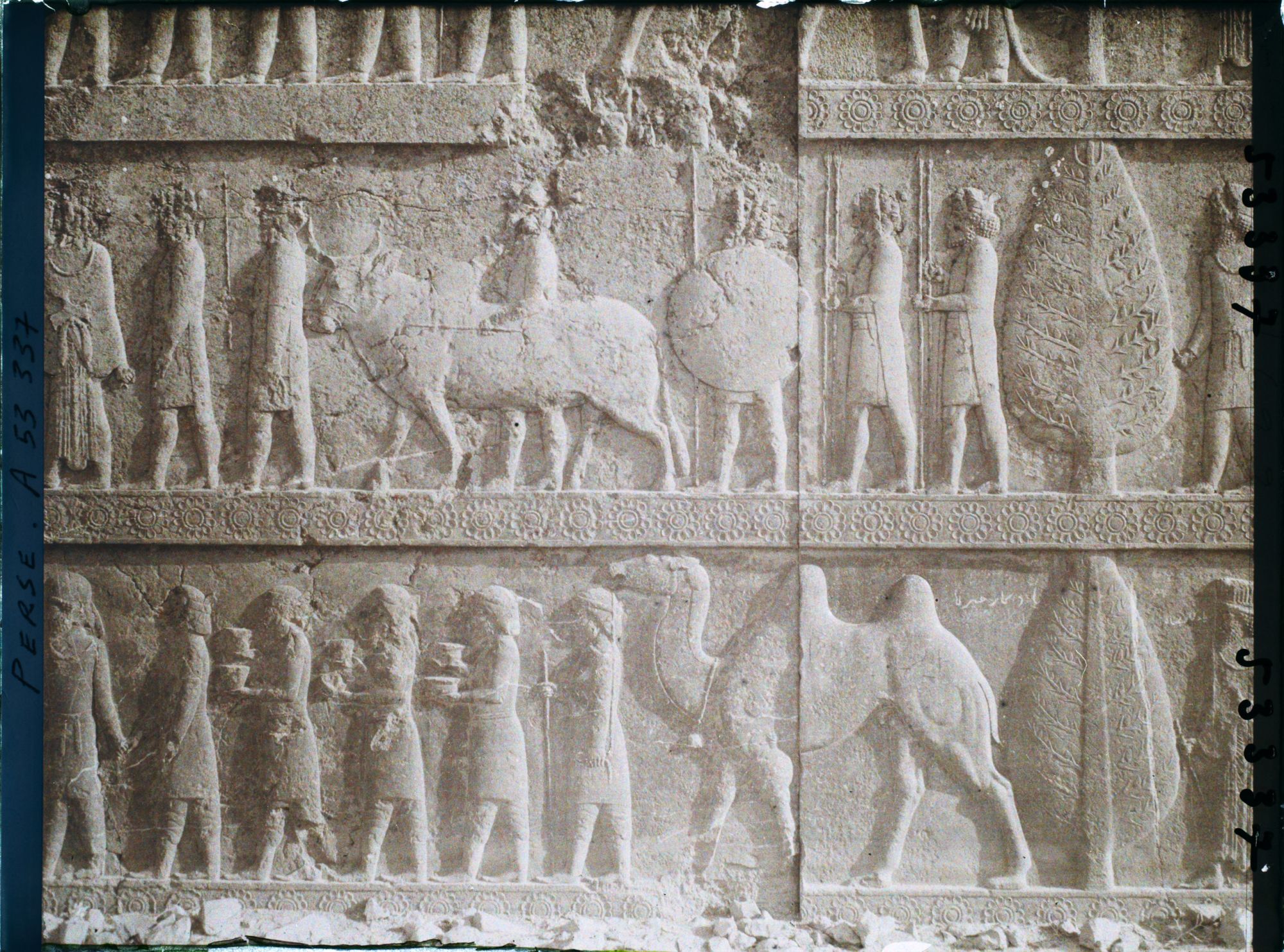 Image représentant Escalier nord de l'Apadana, détail de la procession des tributaires (les Bactriens)