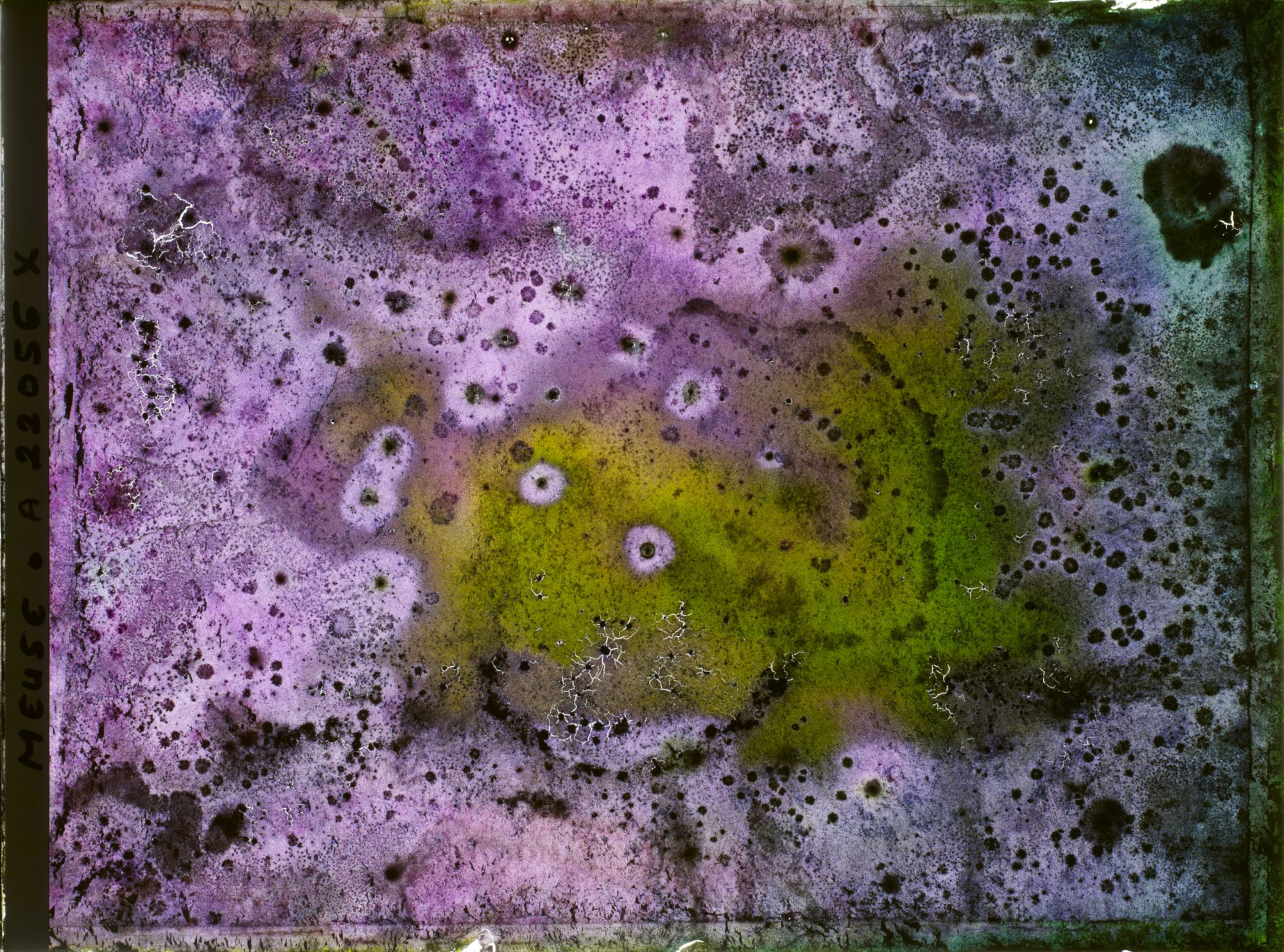 Image représentant Image illisible, plaque endommagée par l'eau (altérations d'époque)