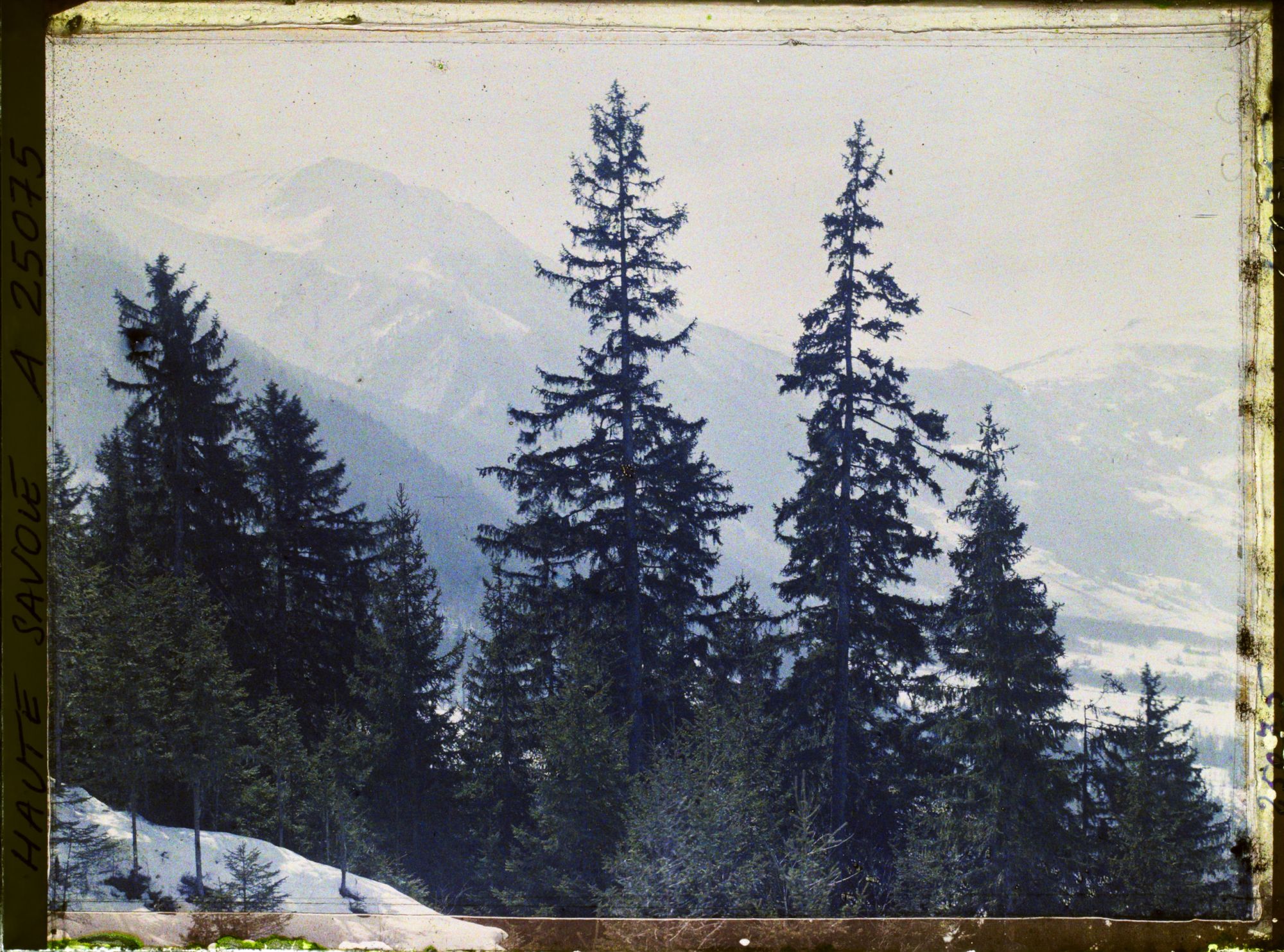 Image représentant France Les Alpes, Les Bossons, Vue vers le Mt Lachat, le Col de Voza et le Prarion