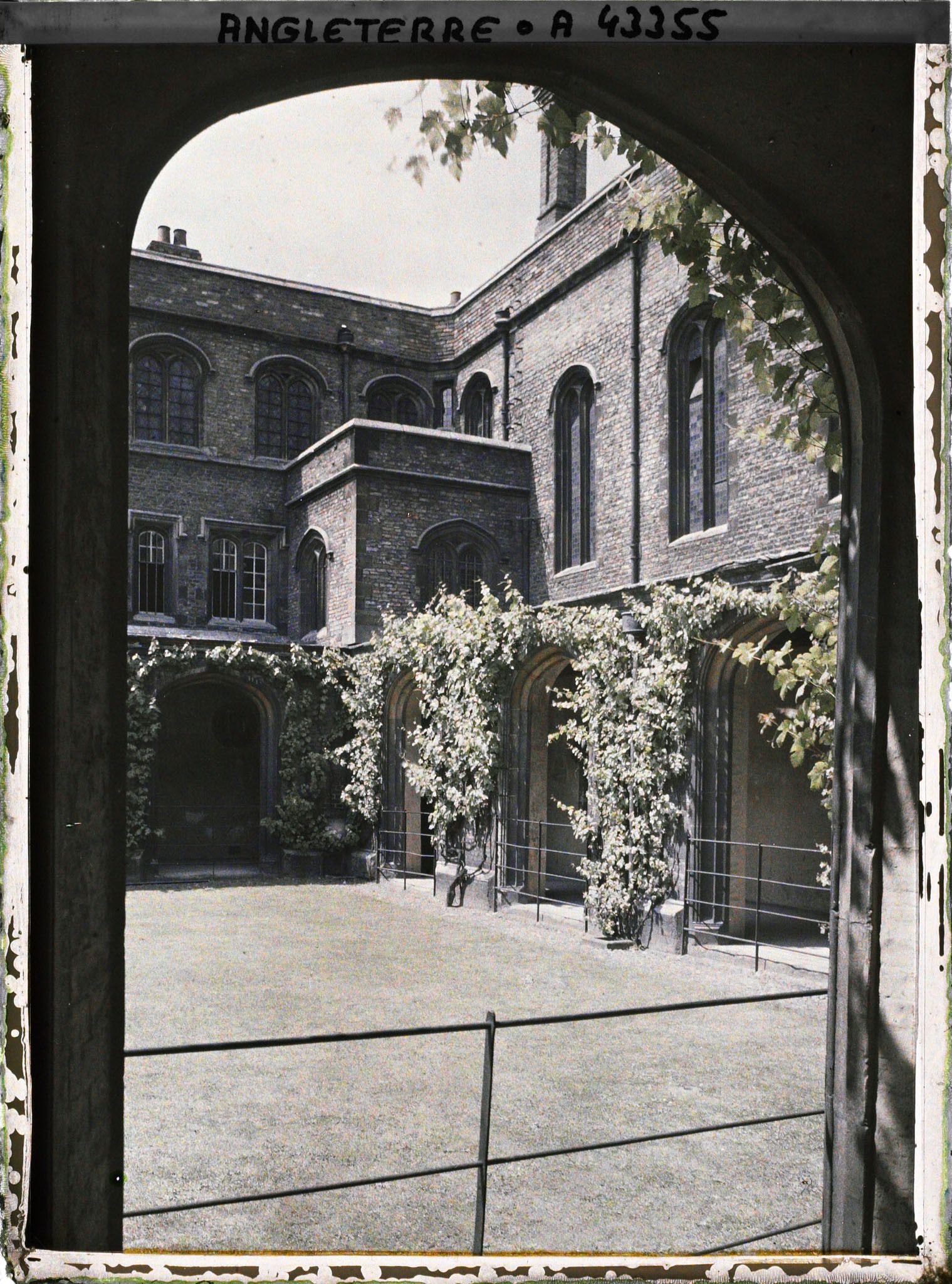 Image représentant Le cloître du Jesus College