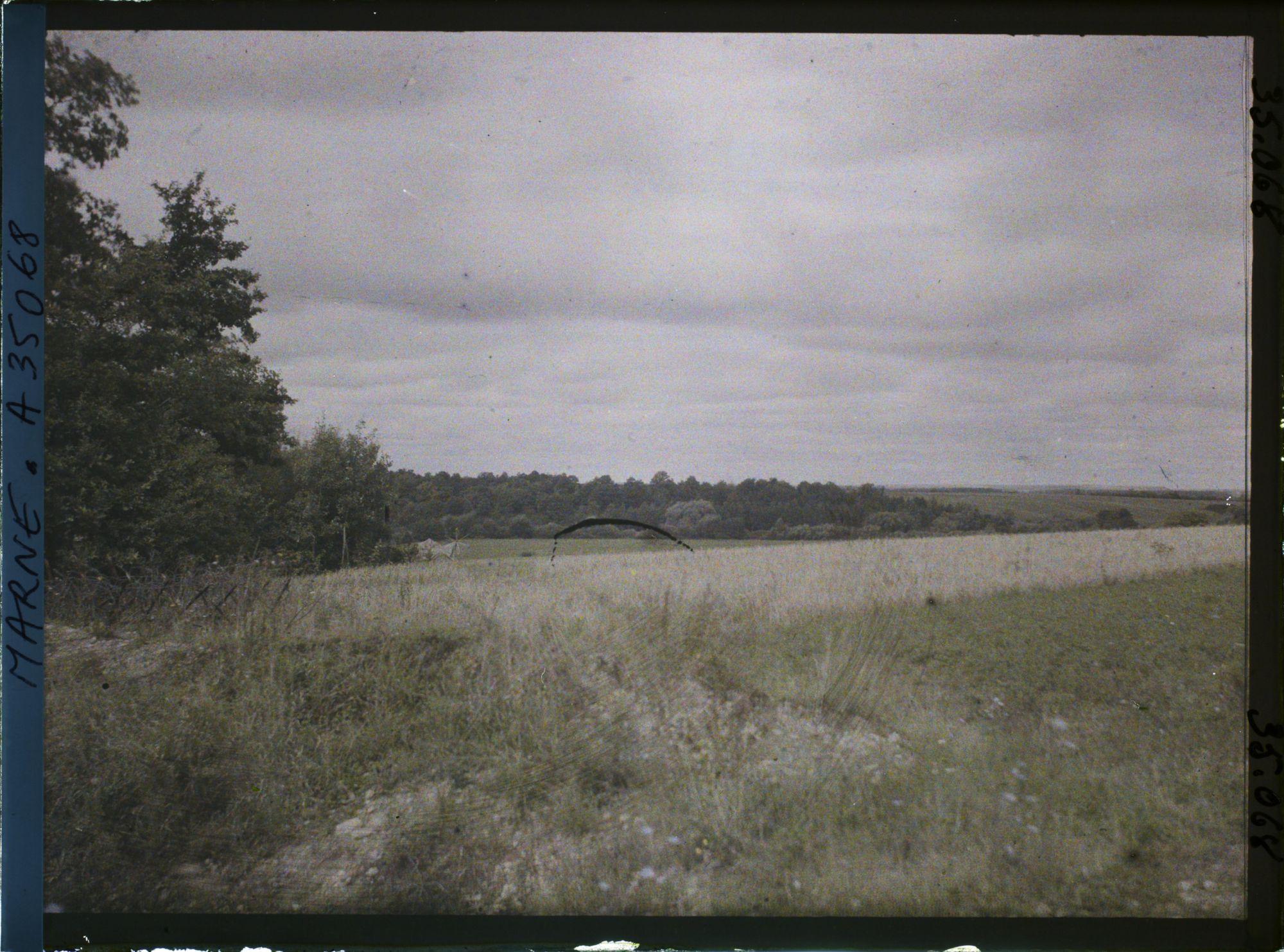 Image représentant France, St Thomas (Marne), Abords de la route de Servon au Kilome 2 St Thomas