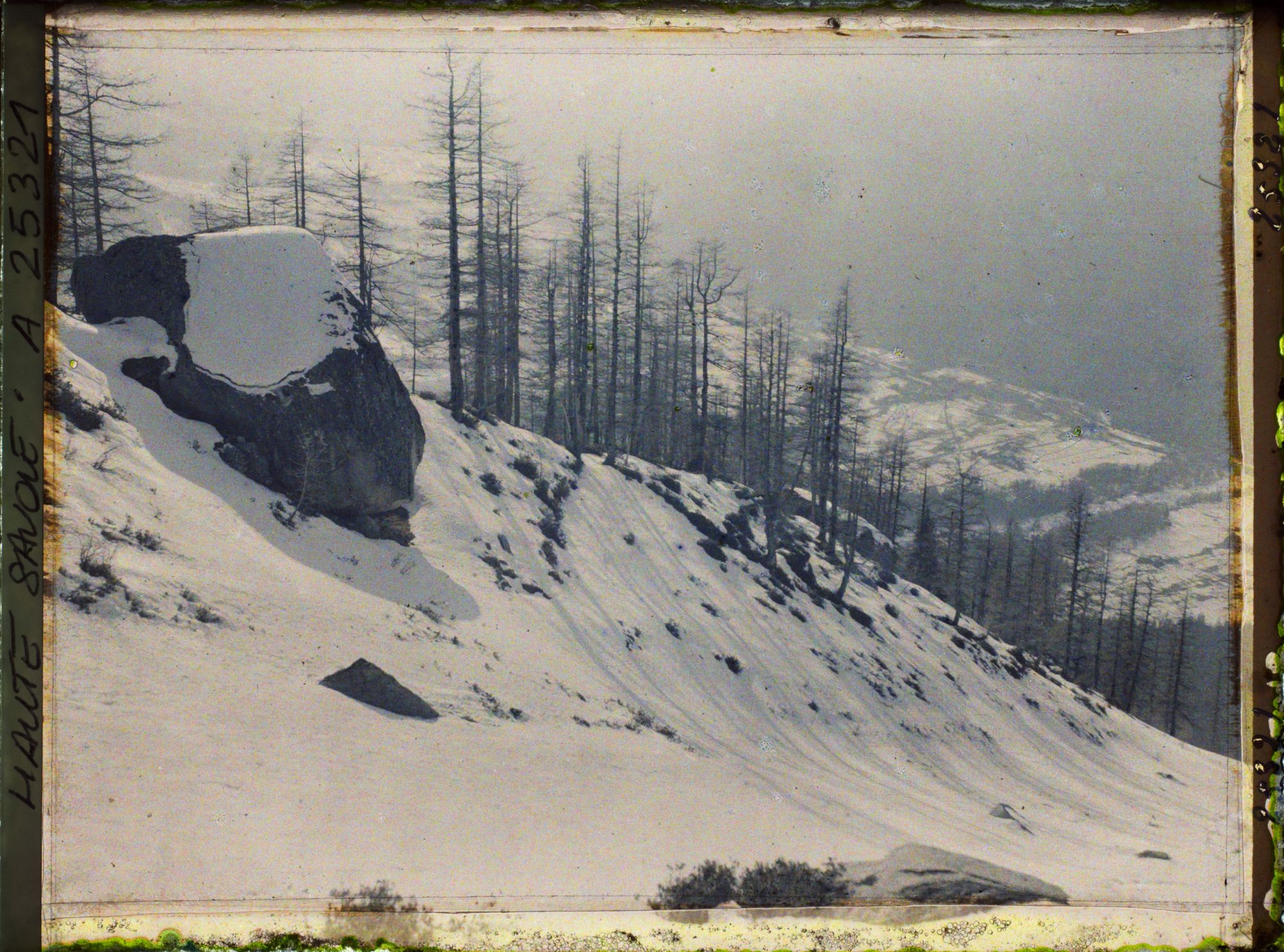 Image représentant France Les Alpes, Le Plan de l'Aiguille, Couloir d'avalanches de la Cornua (Couloir du Glacier des Pèlerins)