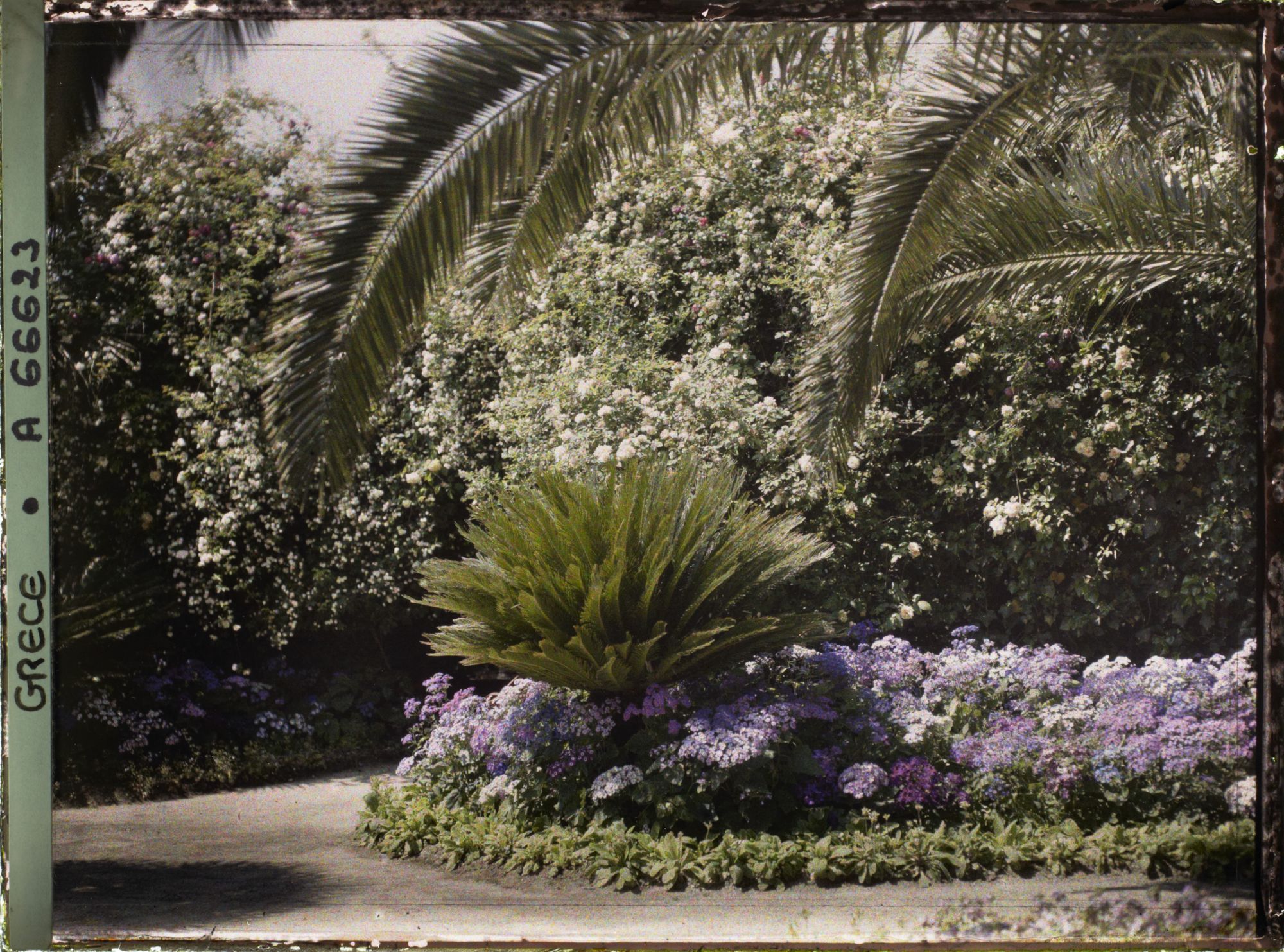Image représentant L'Achilleion - Les Jardins