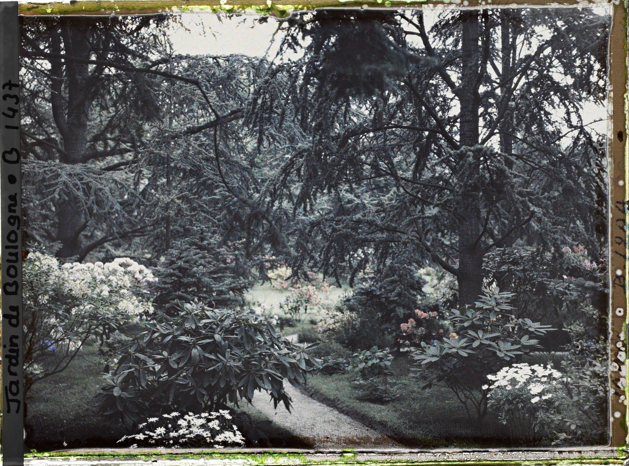 Image représentant L'allée qui mène au marais