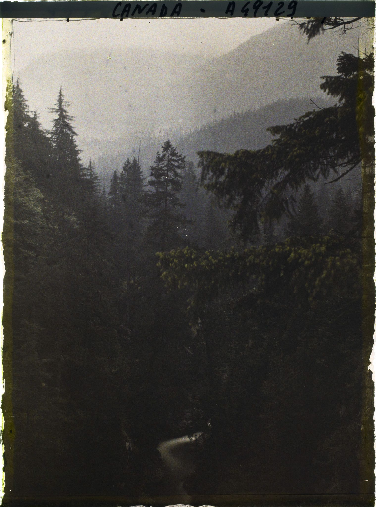 Image représentant Canada, Vancouver, Capilano Canyon- Autre Paysage sous la pluie au 2e Canyon