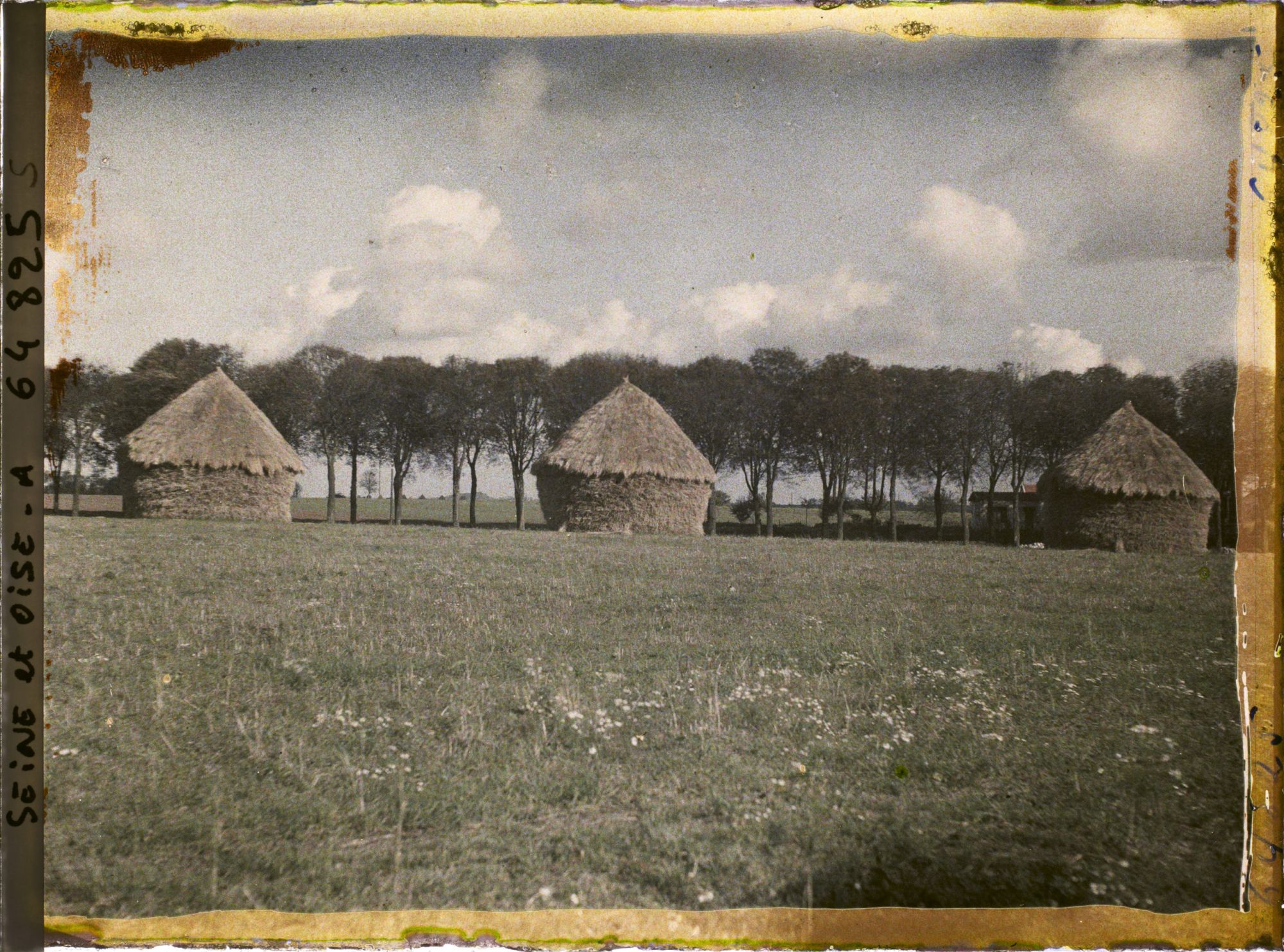 Image représentant Seine et Oise, Moisselles, Groupe de meules de blé en bordure d'une allée d'arbres