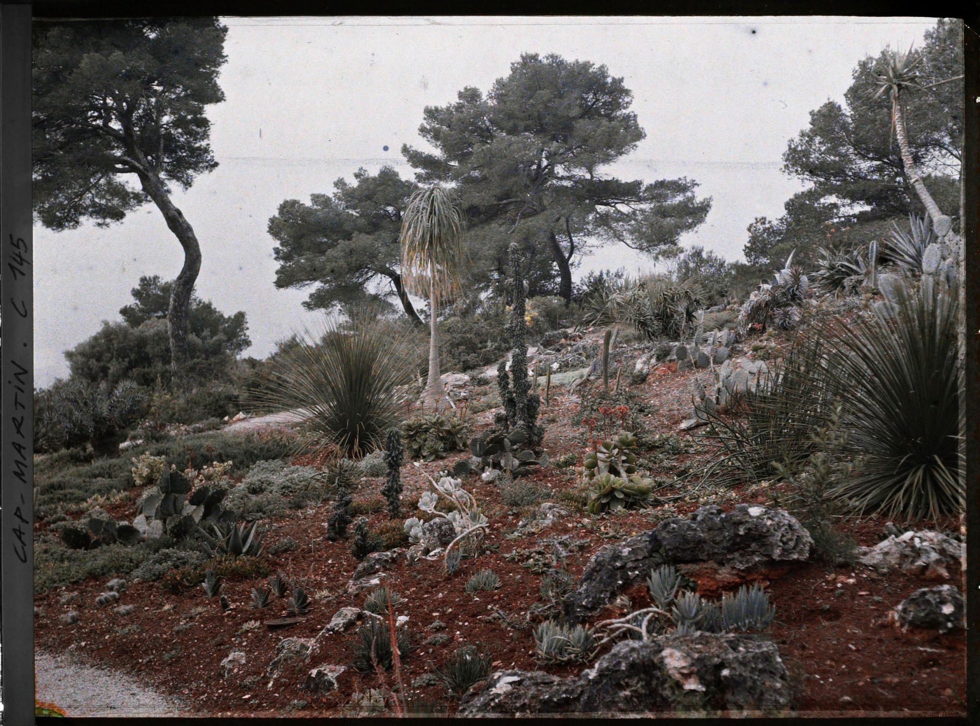 Image représentant Cap Martin - Le Jardin