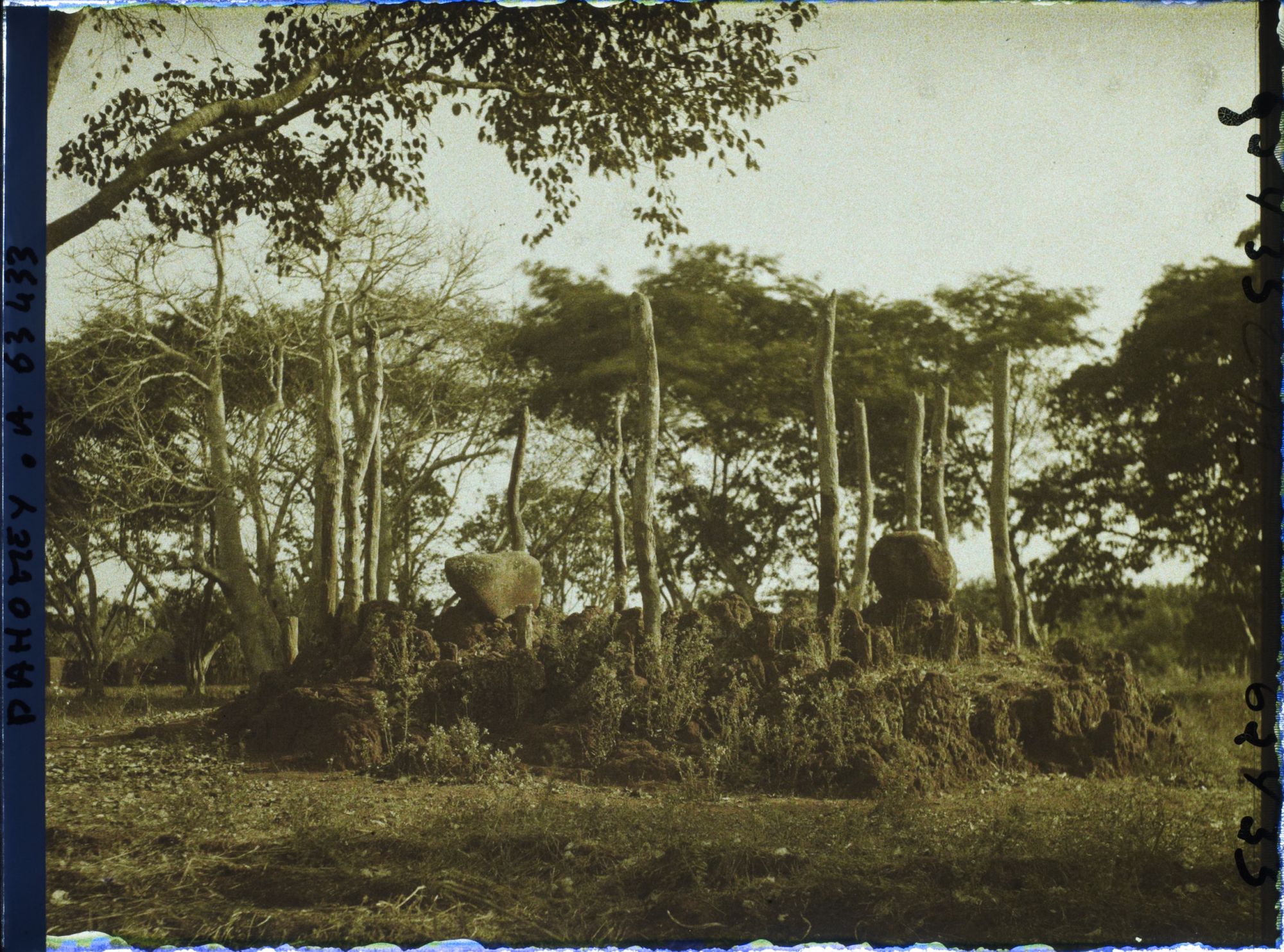 Image représentant Tertre de guerre des rois du Dahomey