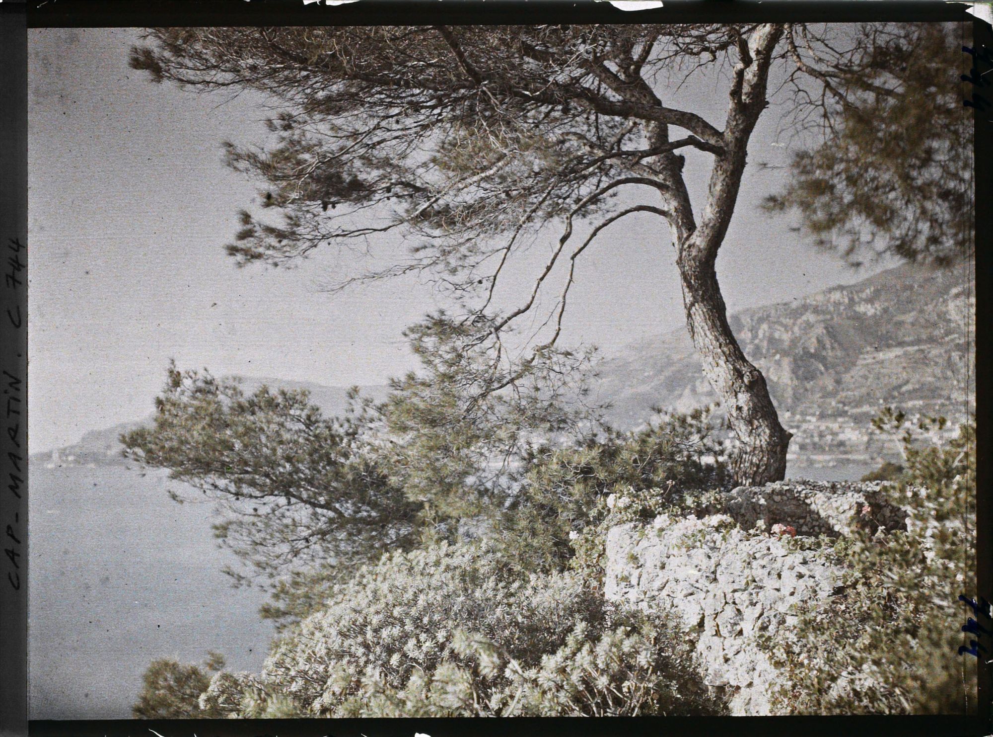 Image représentant La petite terrasse de la villa Dunure
